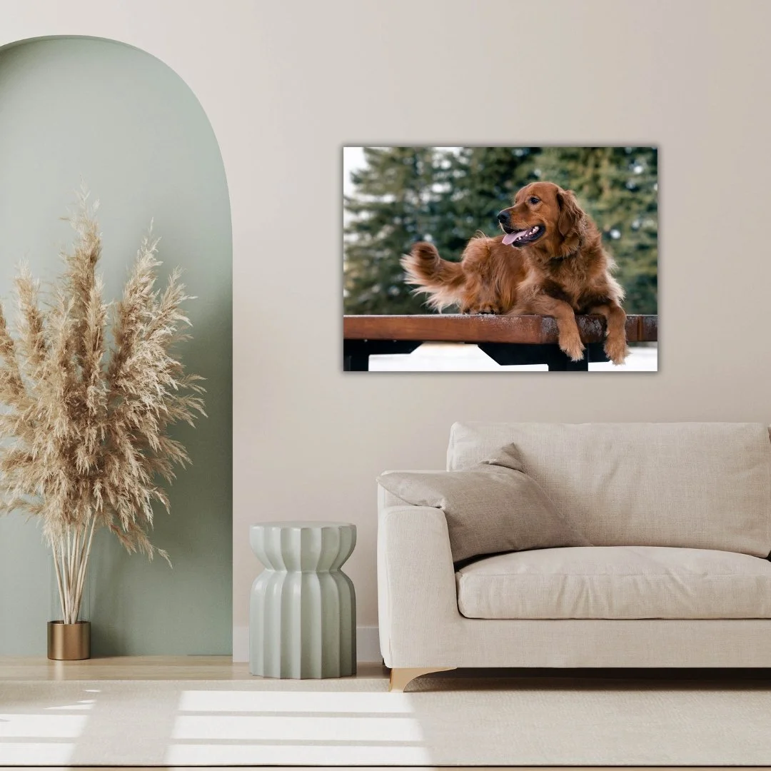 Living room with a beige sofa, a decorative green side table, a vase with pampas grass, and a wall art of a golden retriever laying on a wooden bench outside.