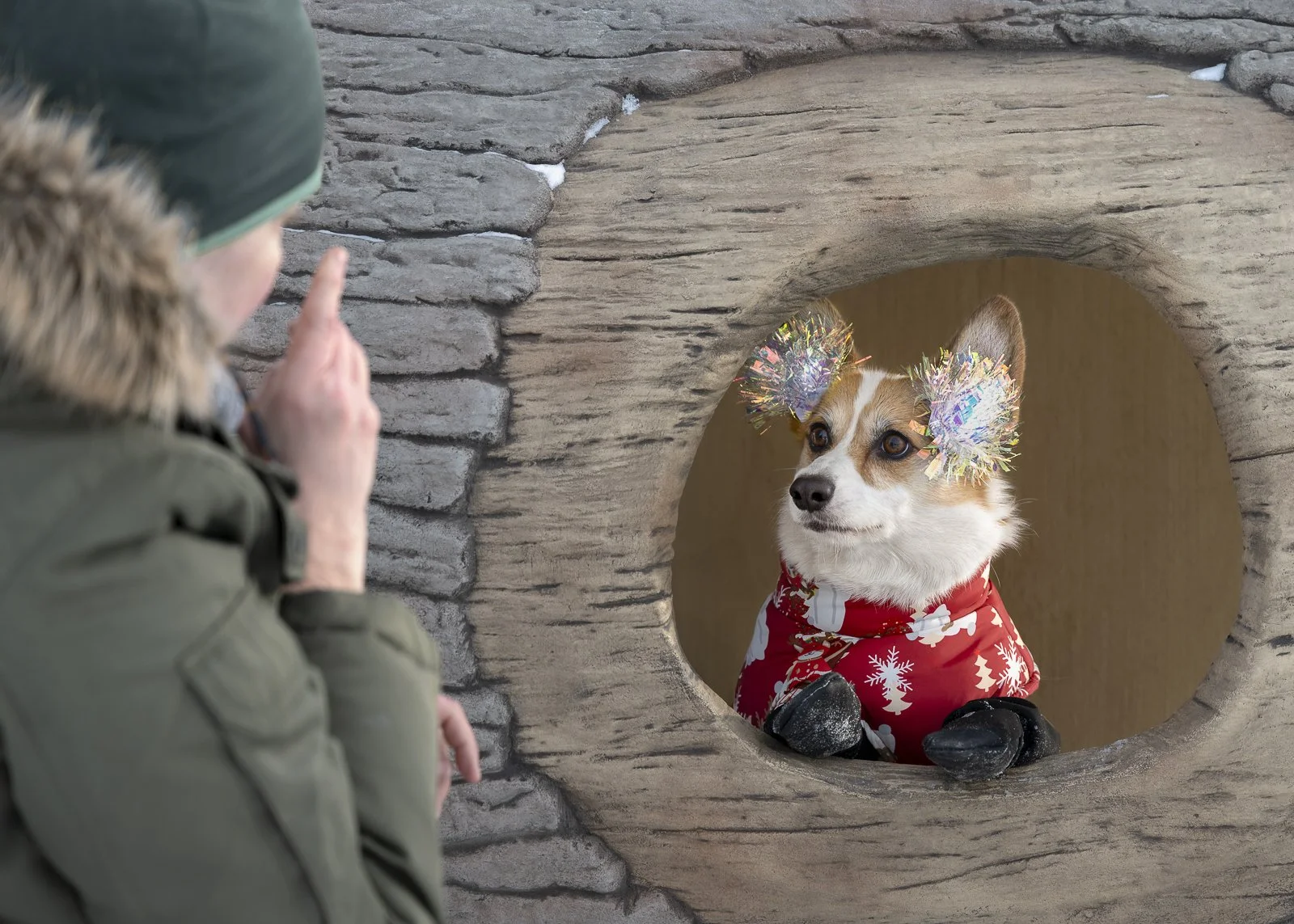 A corgi dog wearing a red Christmas sweater with white snowflake and tree patterns, and festive tinsel ears, is looking through a circular opening in a stone and wood structure while a person dressed in winter clothes gestures towards the dog.
