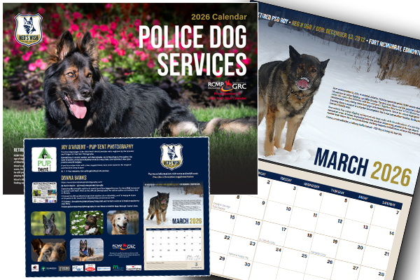 2026 police dog services calendar featuring a German Shepherd dog on the cover and a December 2012 page with a photo of a black and tan German Shepherd standing in snow.