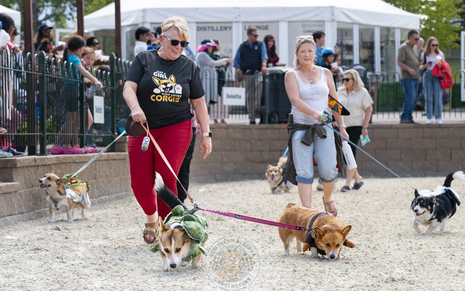 Two women walking dogs, dressed in casual attire at a dog park, with other people and dogs in the background.