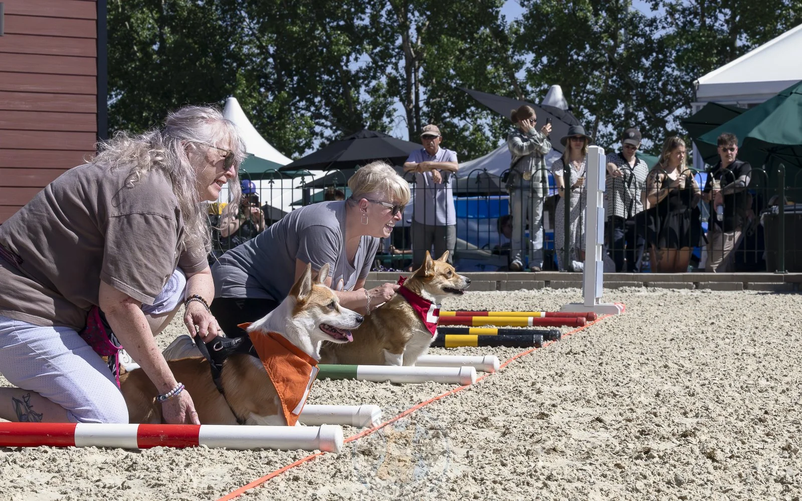 Two women with dogs participating in a dog agility competition outside, with spectators behind a fence and tents in the background.