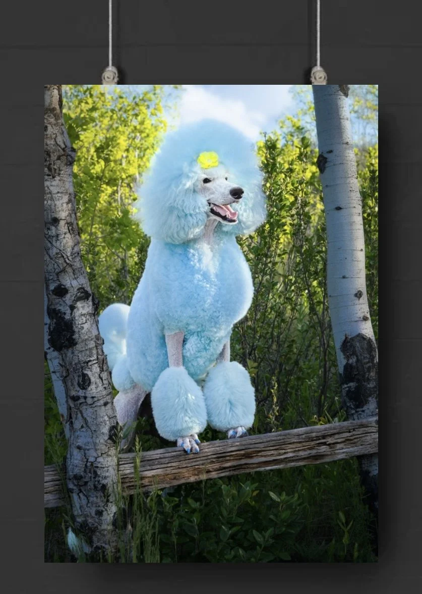 A dog dressed in a poodle costume with a yellow flower on its head, sitting on a wooden branch between trees with green leaves in a forested area.