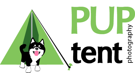 Pup Tent Photography