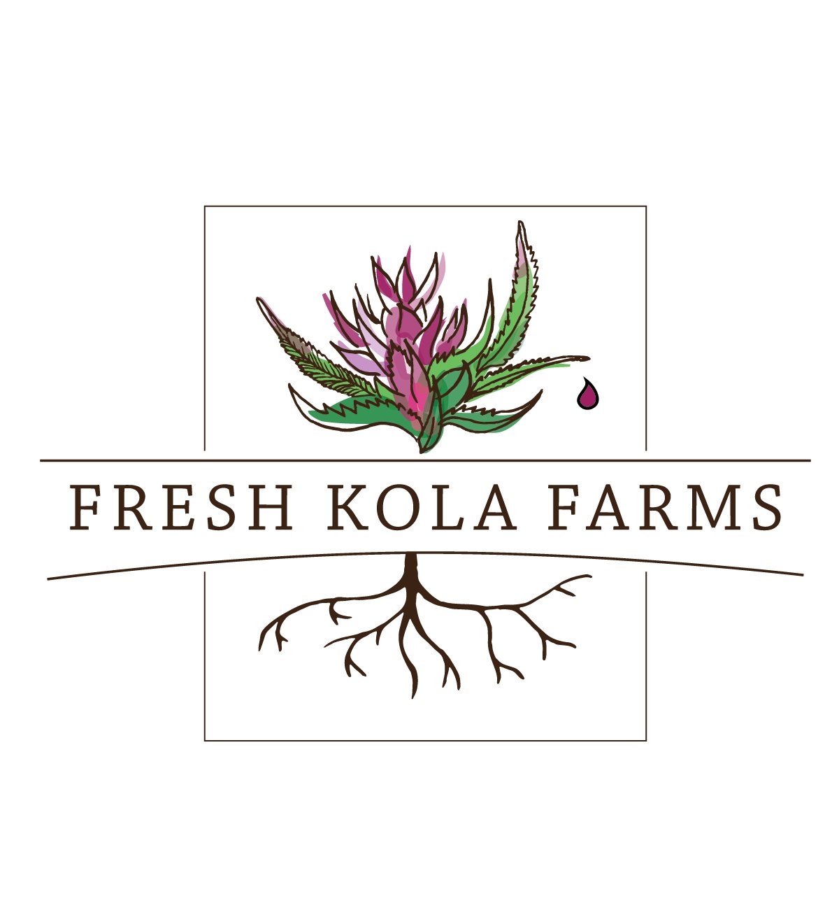 Fresh Kola Farms