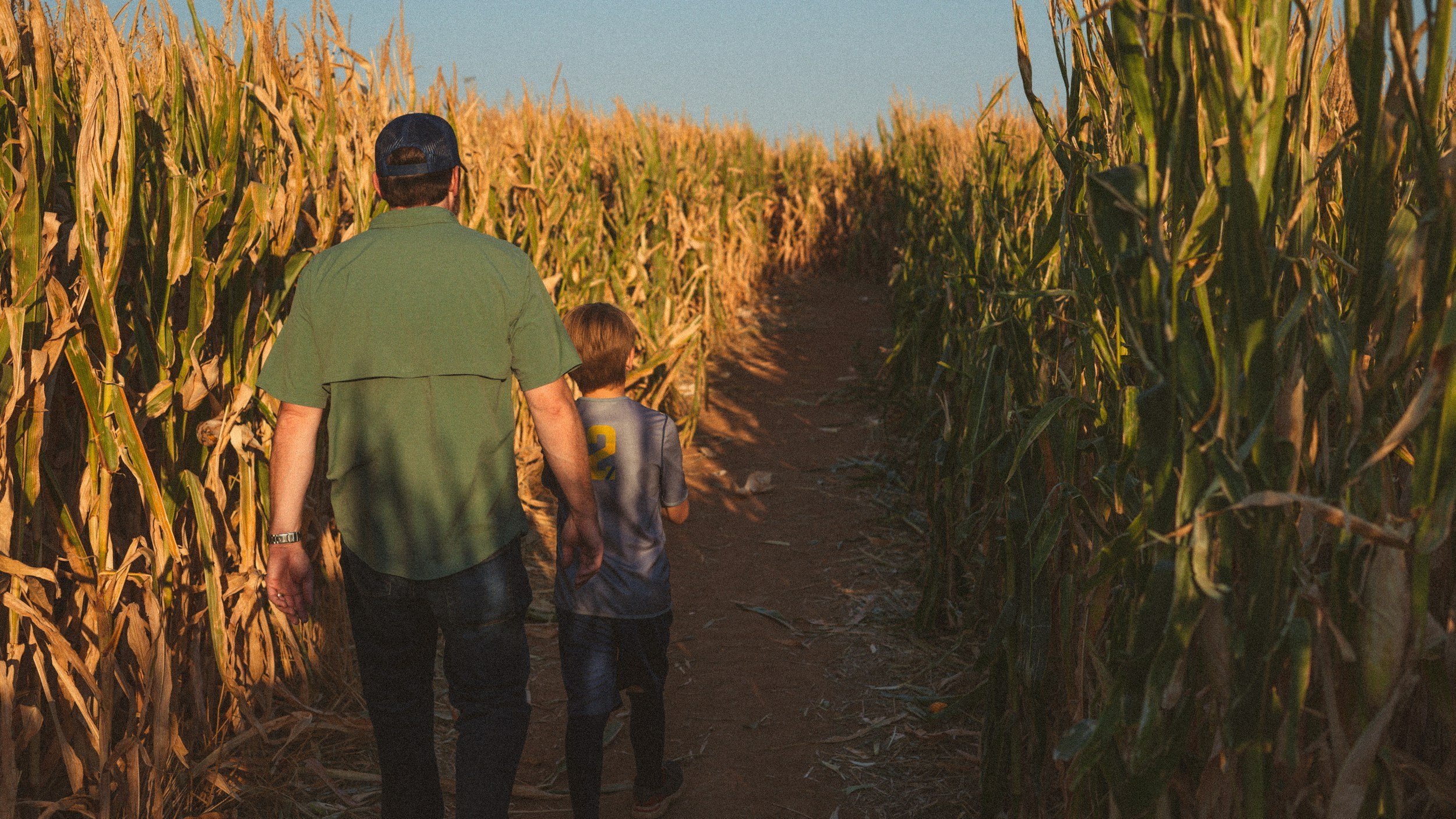 Stuck in a corn maze 