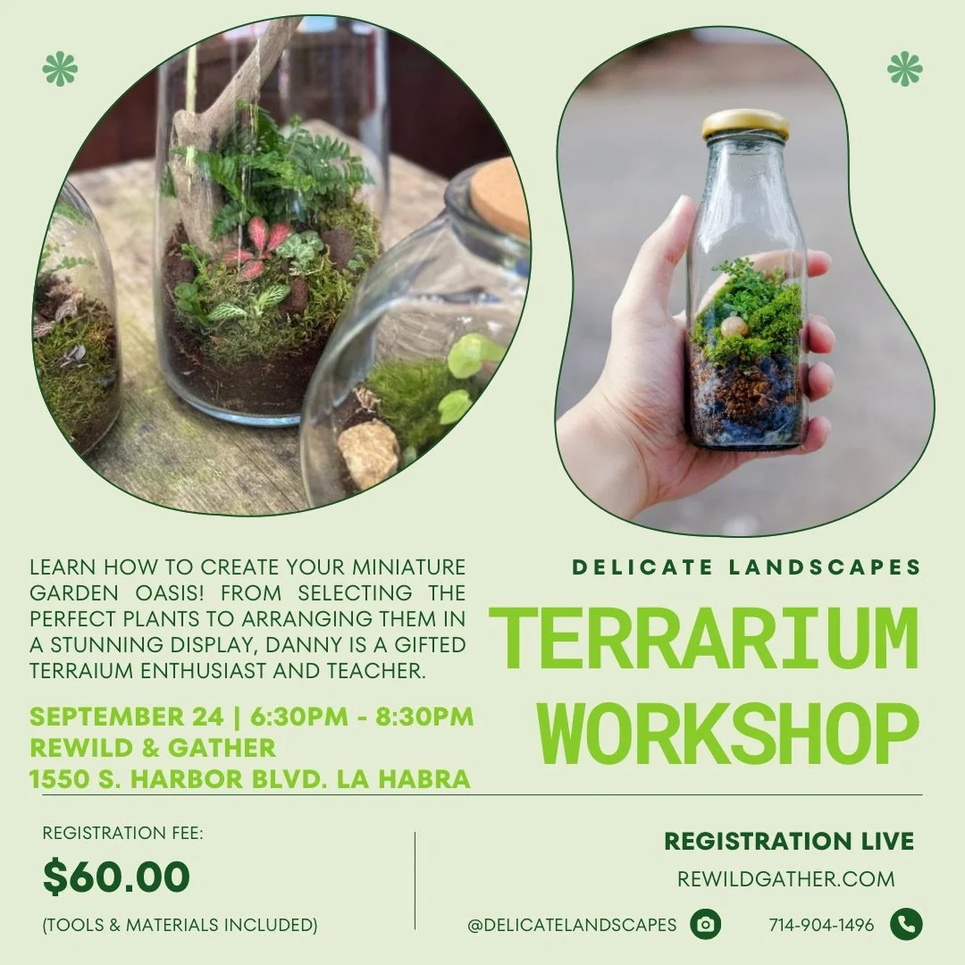 TERRARIUM WORKSHOP