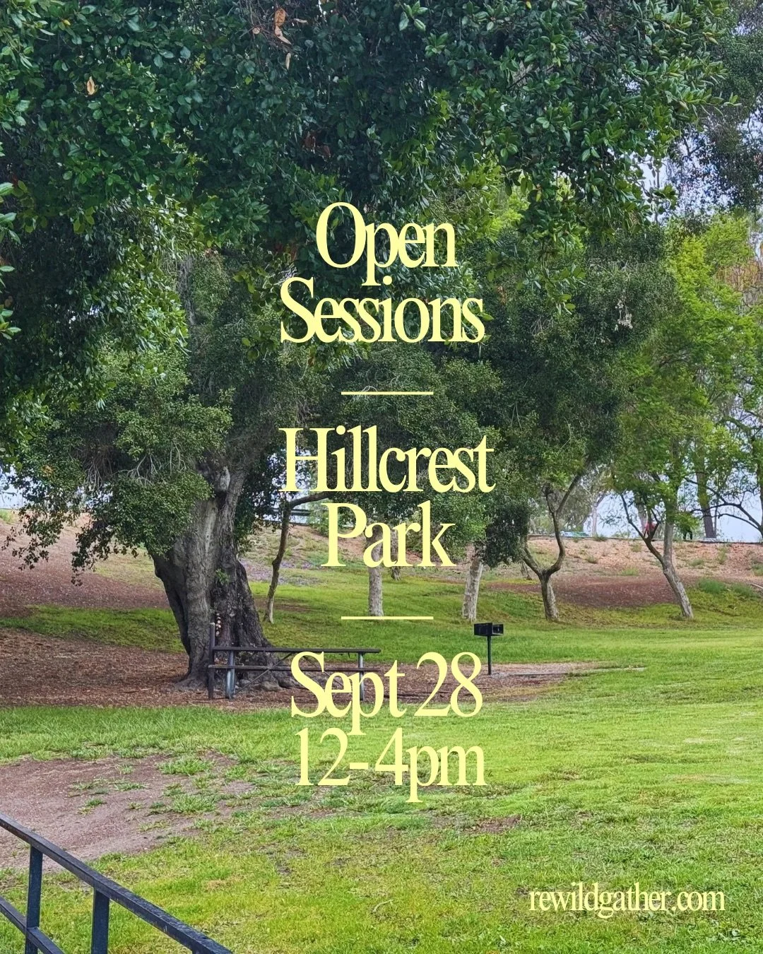 Open Sessions - Park Edition