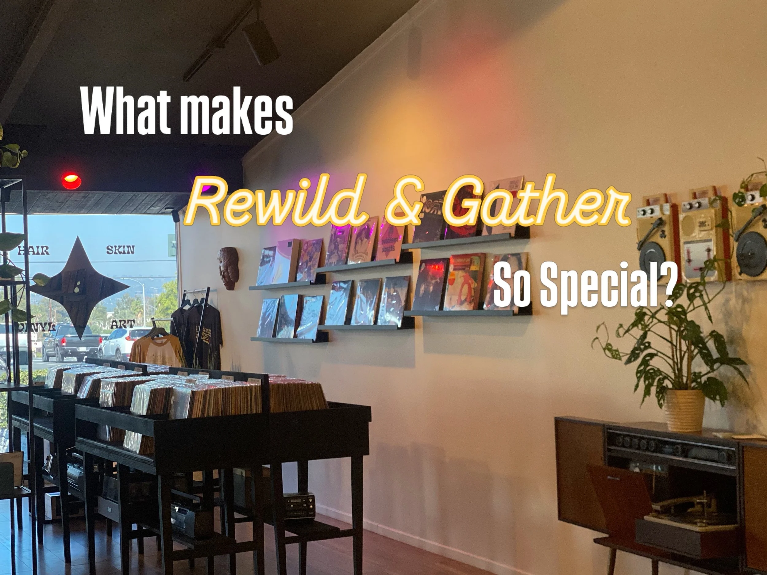 What makes Rewild &amp; Gather so special? We are not just a Salon, but a place to step away from your day-to-day routine. 

We pride ourselves in providing high vibe hair and skin care services. We are a women owned, an all inclusive community hub f