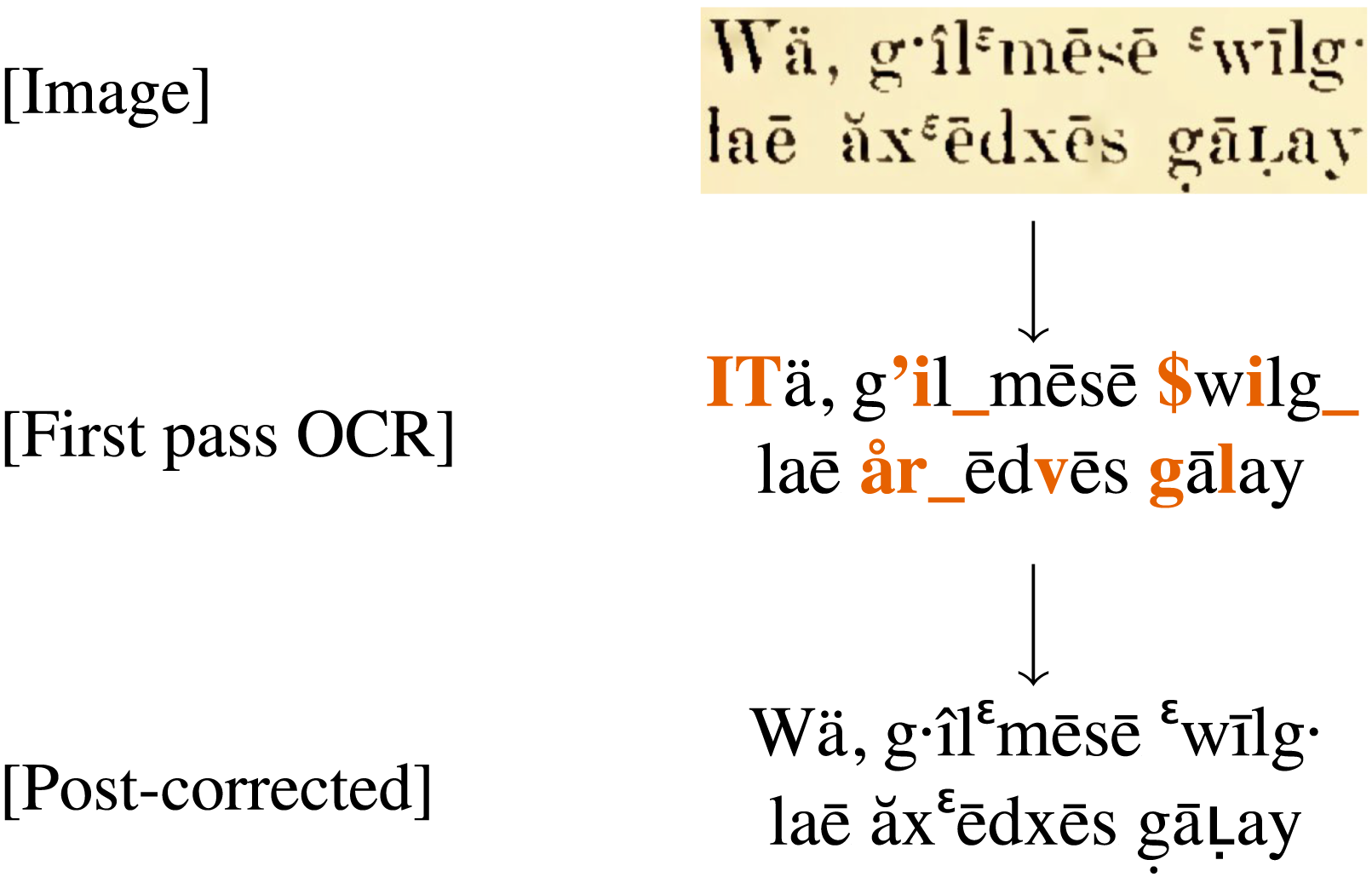 Diagram showing the process for correcting an OCR model; first image has highlighted yellow letters, second image has several letters in bold orange. There are two arrows connecting the first, second and third excerpts of text.