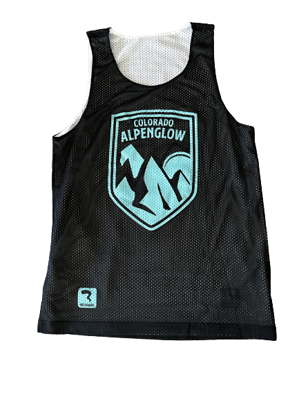 reversiblejersey-alpenglow-v2-removebg.png