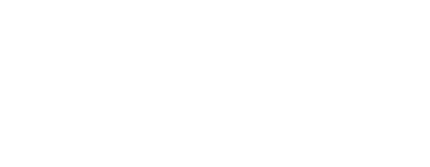 Ascent Physical Therapy and Performance