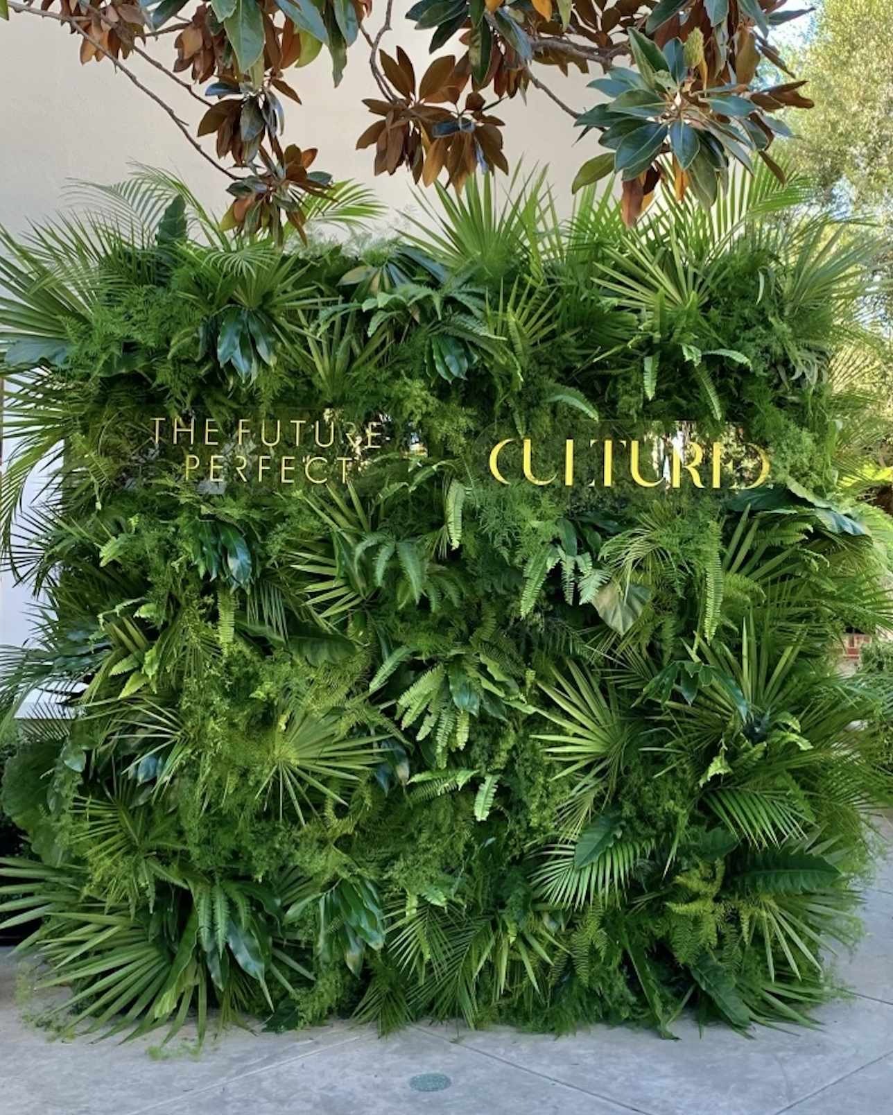 A lush green wall of various tropical plants with gold-colored text that reads "The Future of Perfected Culture."