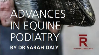 Advances in Equine Podiatry