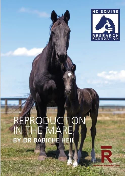 front page reprod mare booklet.JPG