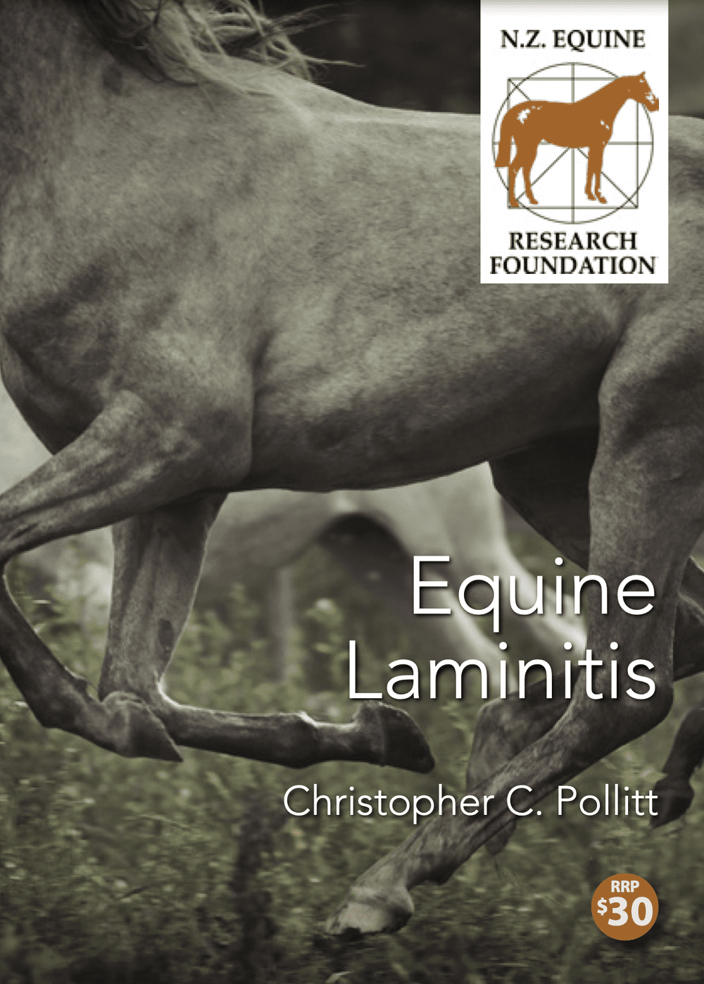 Equine Laminitis — New Zealand Equine Research Foundation