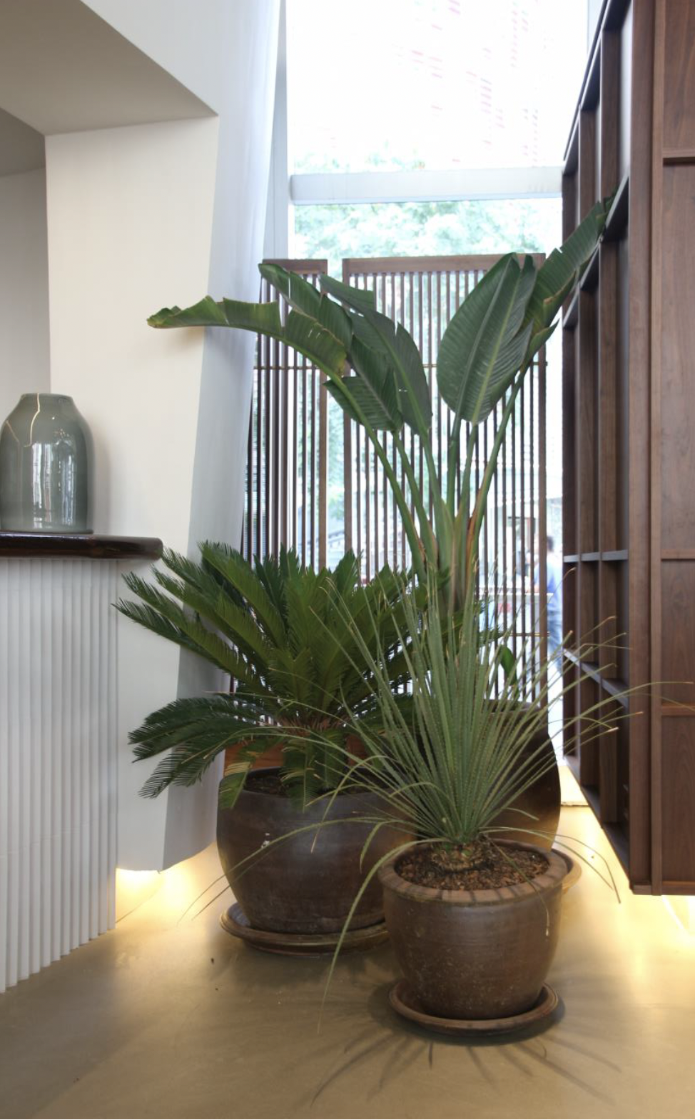 Screen Shot 2023-01-17 at 7.34.23 PM.png