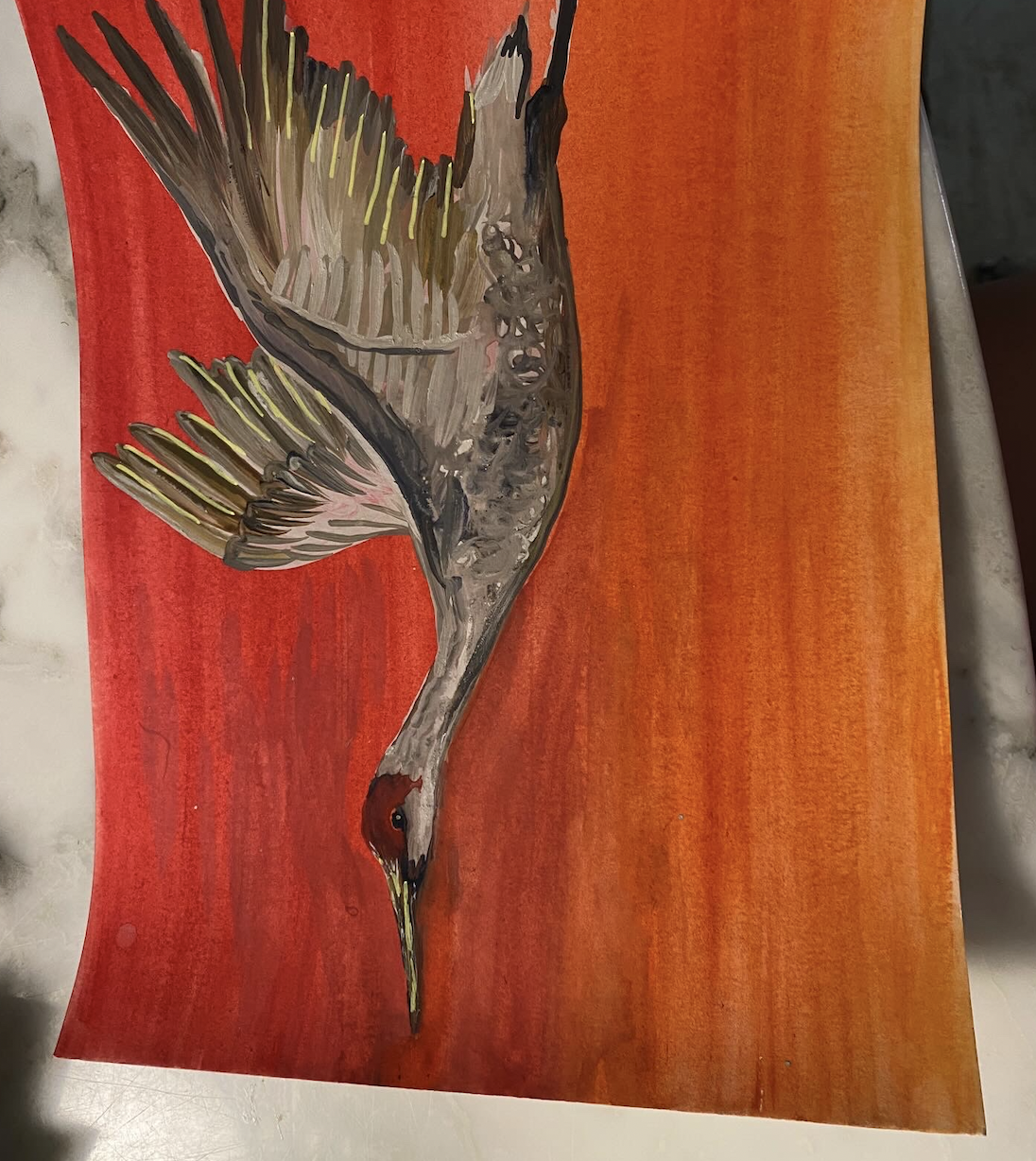 Bird Watercolors