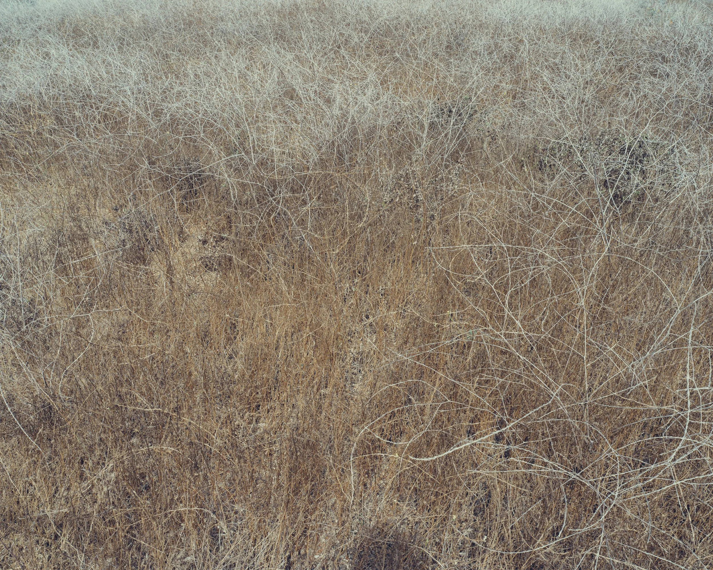 LAND 008.jpg