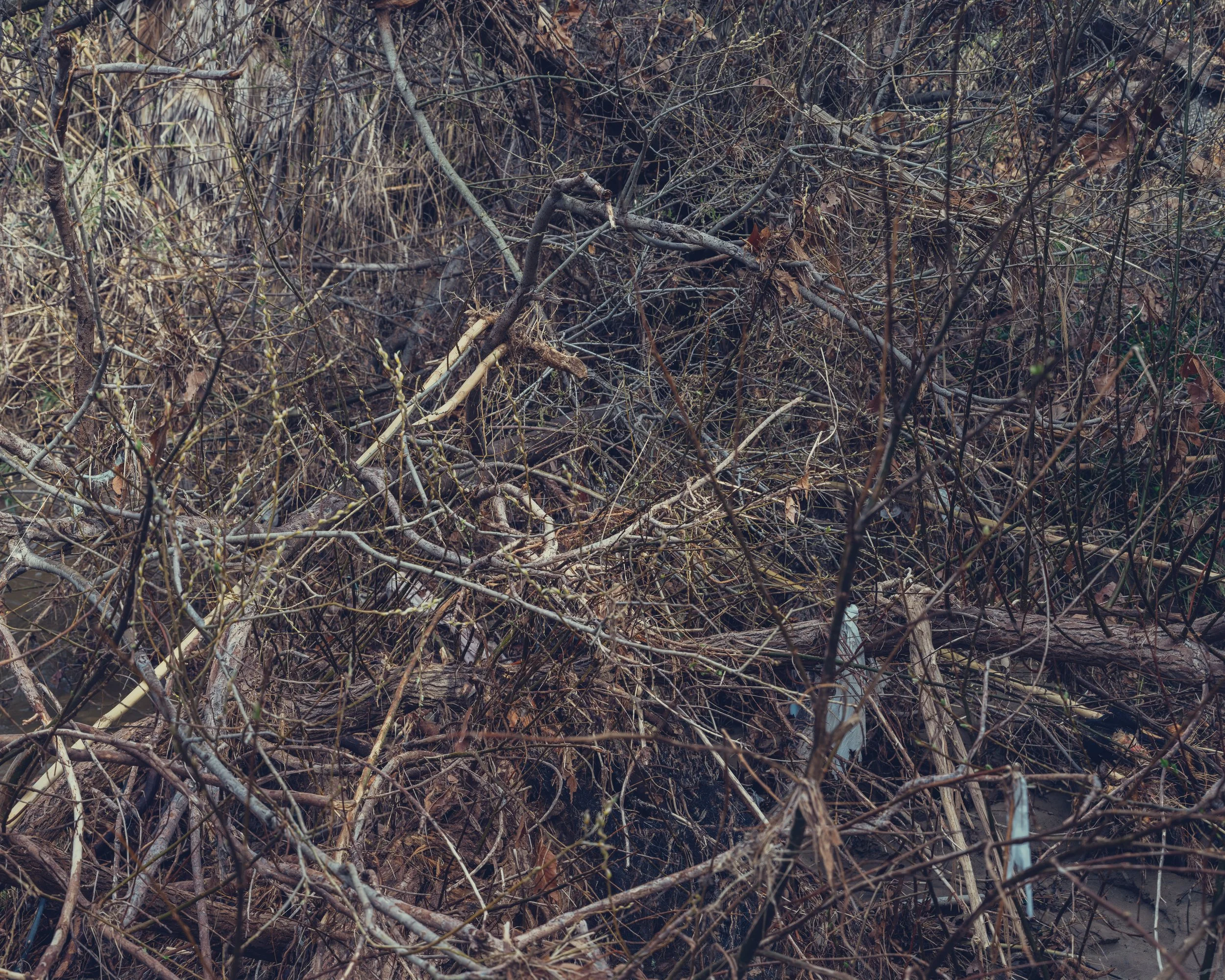 LAND 013