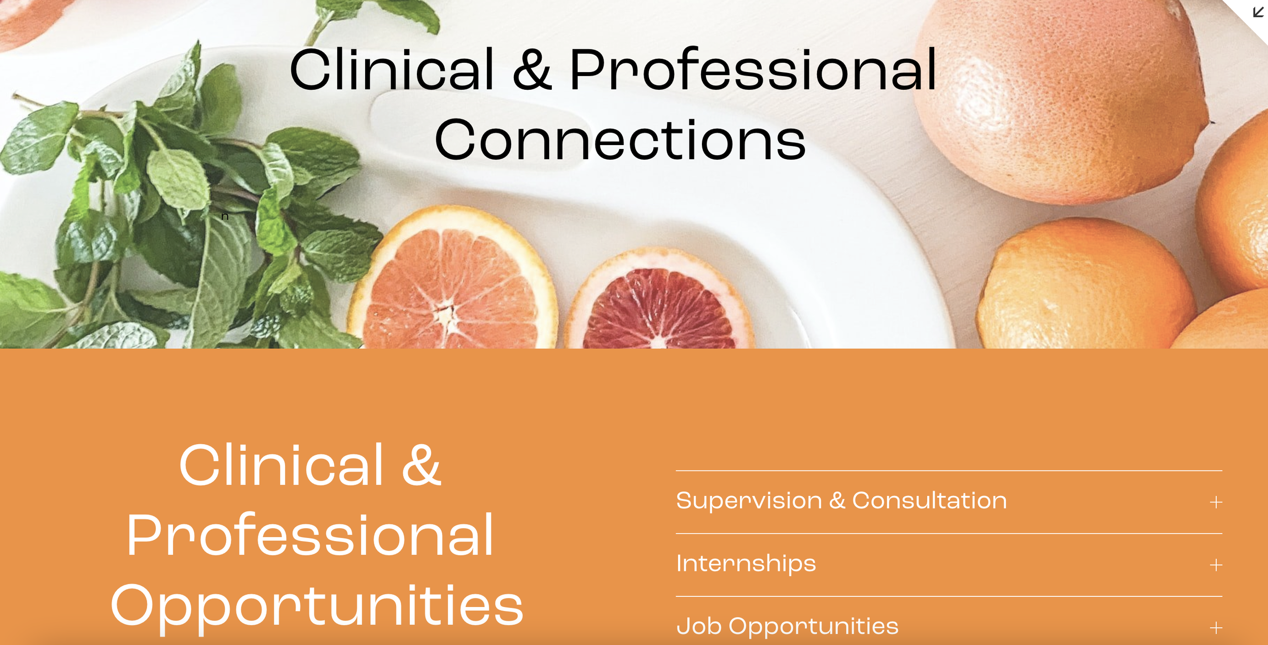 Screen Shot 2022-10-15 at 2.24.19 PM.png