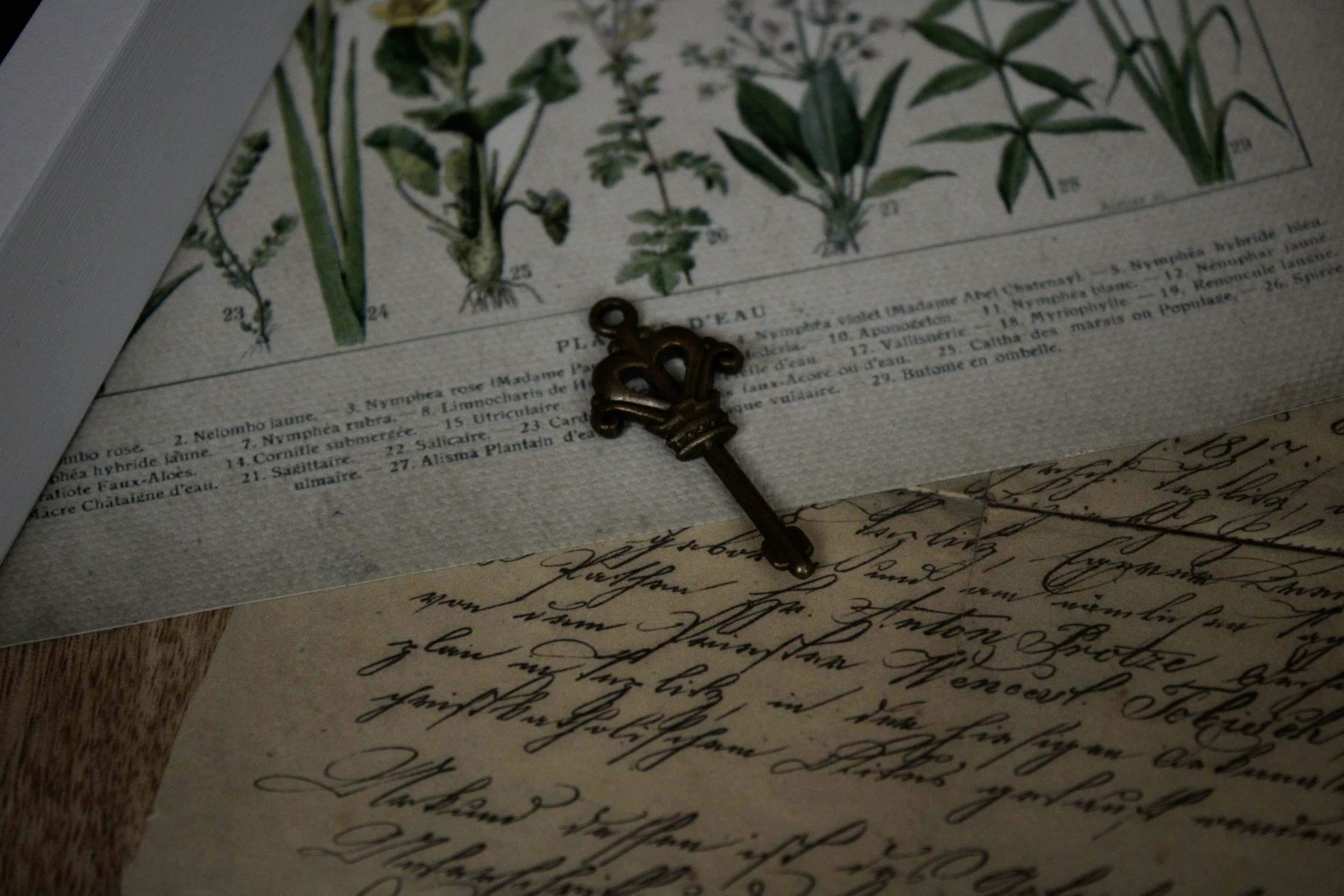 An old metal skeleton key resting on top of antique cursive letters and a vintage botanical print, showcasing dark academia author website background images