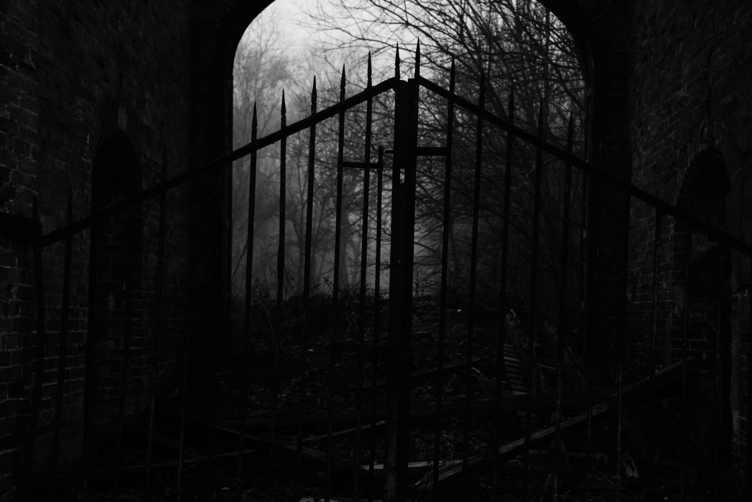 A view through an arched iron gate into a foggy, shadowy forest, illustrating gothic author brand photography ideas