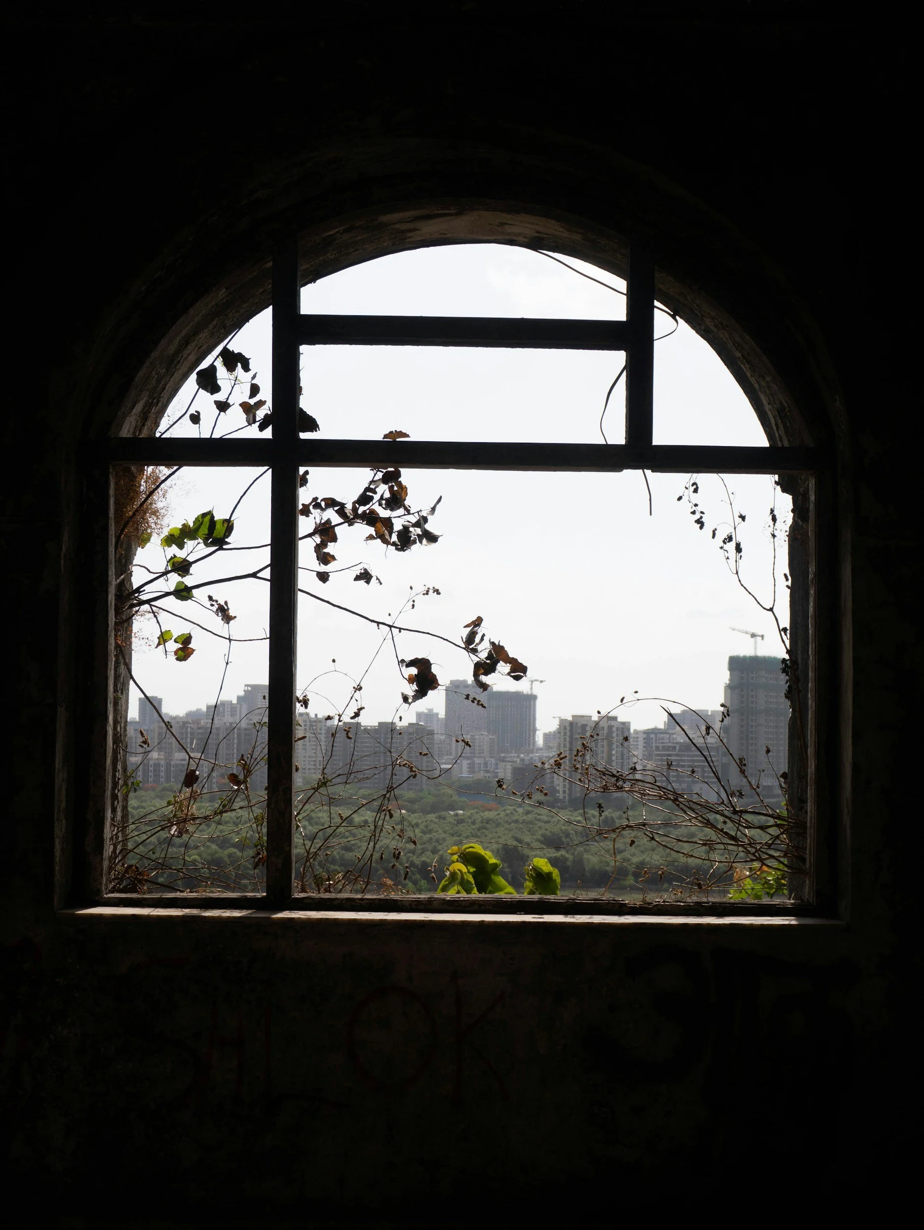 A broken window frame looking out at a hazy city skyline, used when curating photos for an author website mood board