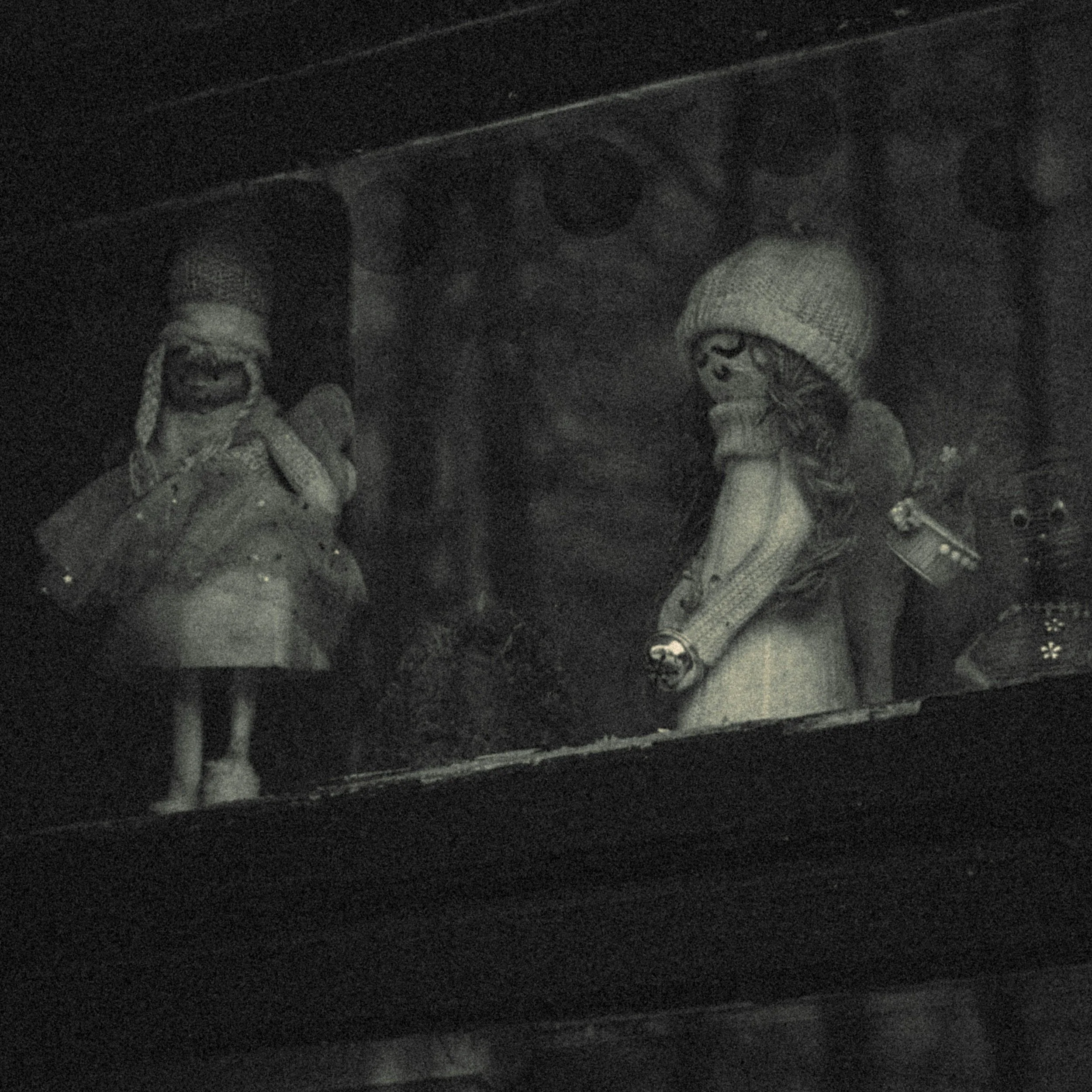 A textured black-and-white film grain photo of two vintage porcelain dolls in deep shadow, perfect for dark academic author website imagery