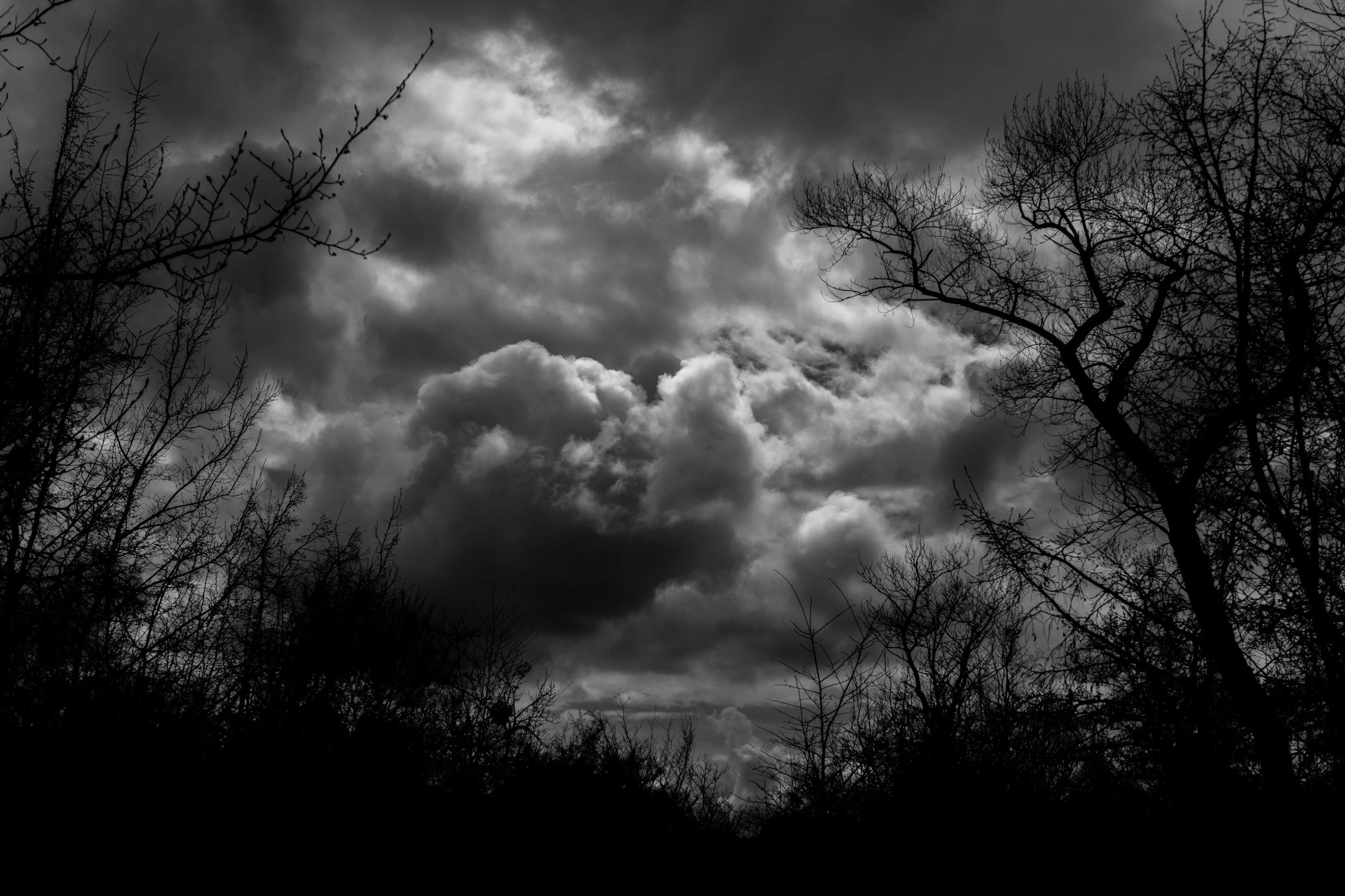 Dramatic, churning black storm clouds filling an overcast sky over silhouetted winter tree branches, perfect for a dark ambient horror author brand