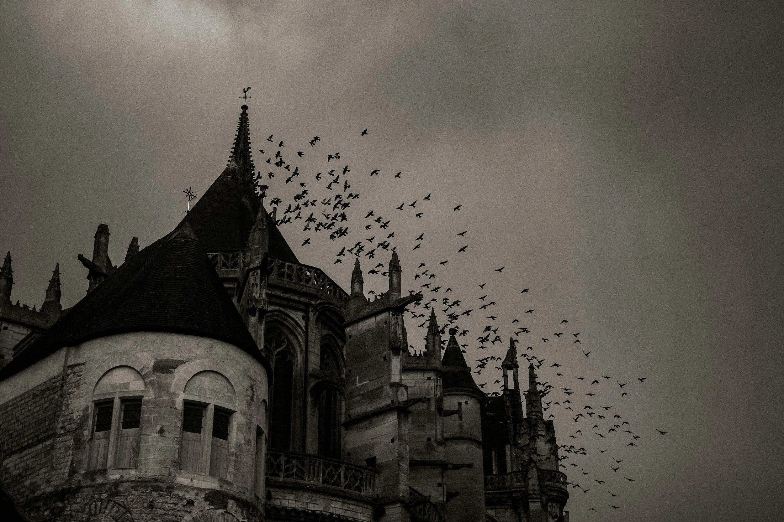A dark, historic gothic castle turret under an overcast gray sky, surrounded by a flock of black birds flying erratically overhead