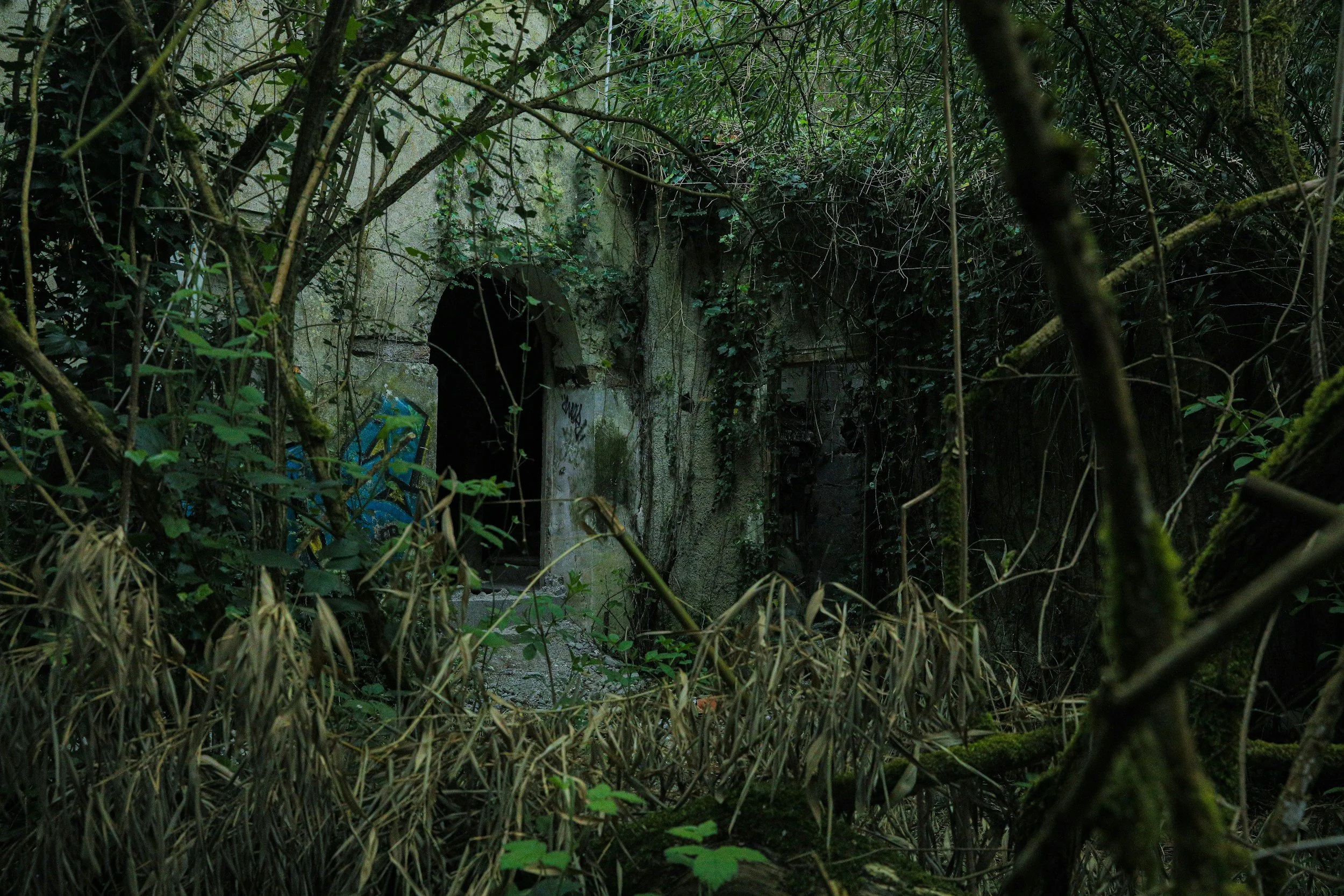 An ancient, moss-covered stone archway hidden deep within dark, thick green woods, showcasing a classic dark romantic gothic horror vibe