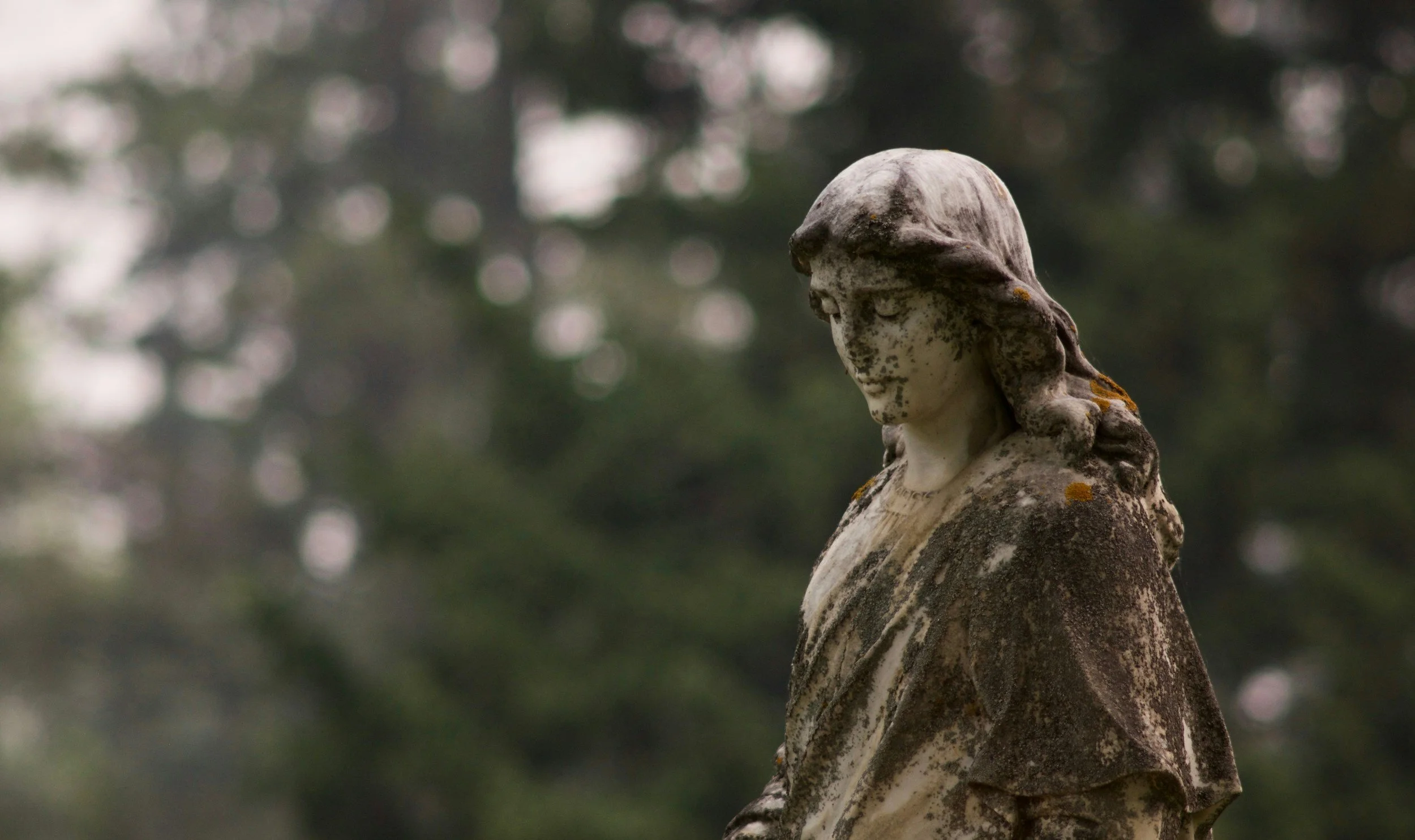 A close-up shot of a weathered, mossy stone angel statue in a cemetery against a softly blurred dark green forest backdrop