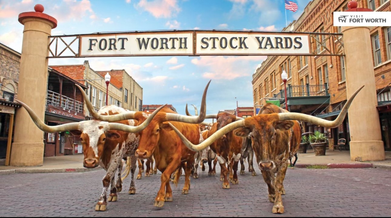 Forth Worth Stockyards cattle drive
