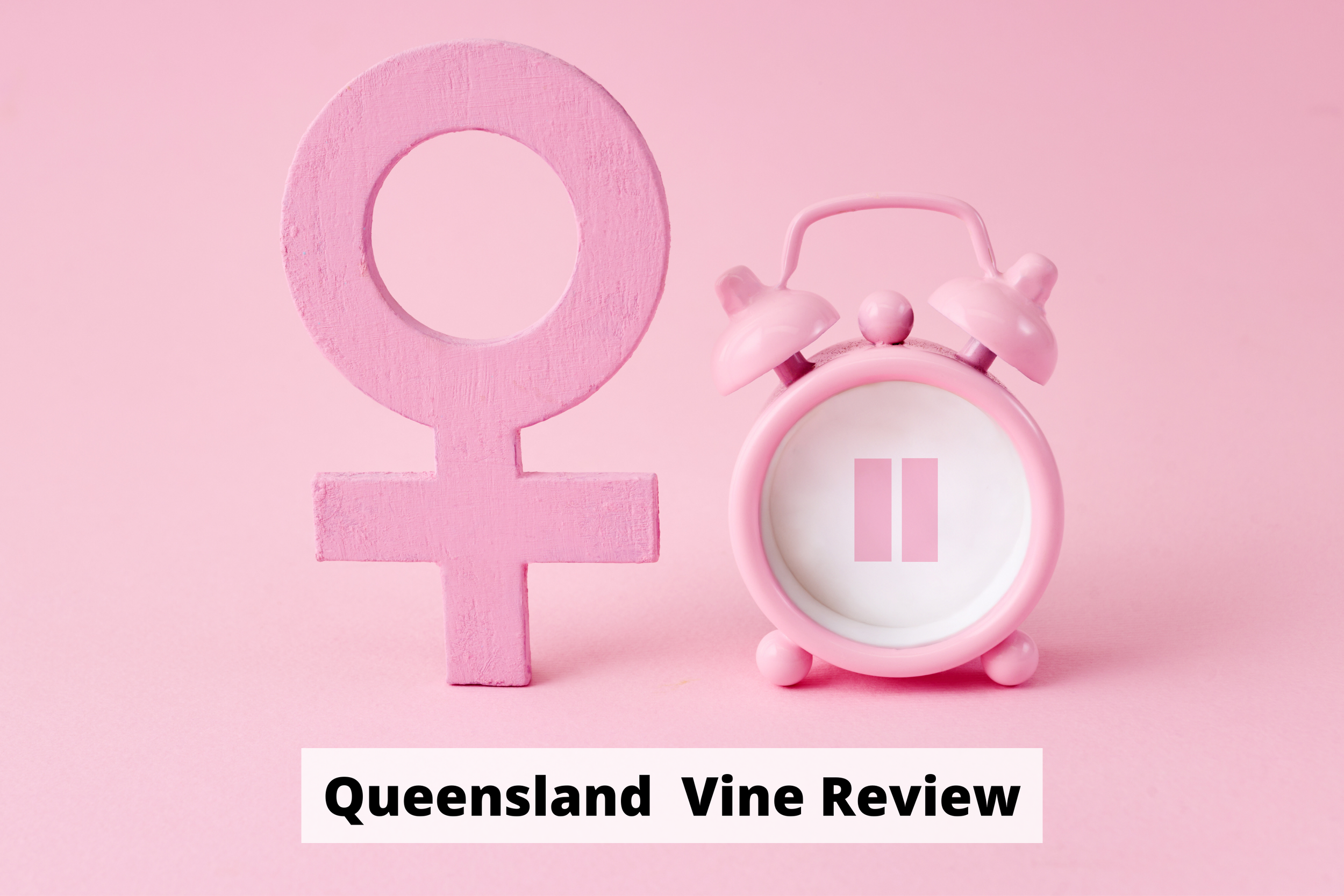 What We Told Queensland Health About Safeguarding LGB Youth