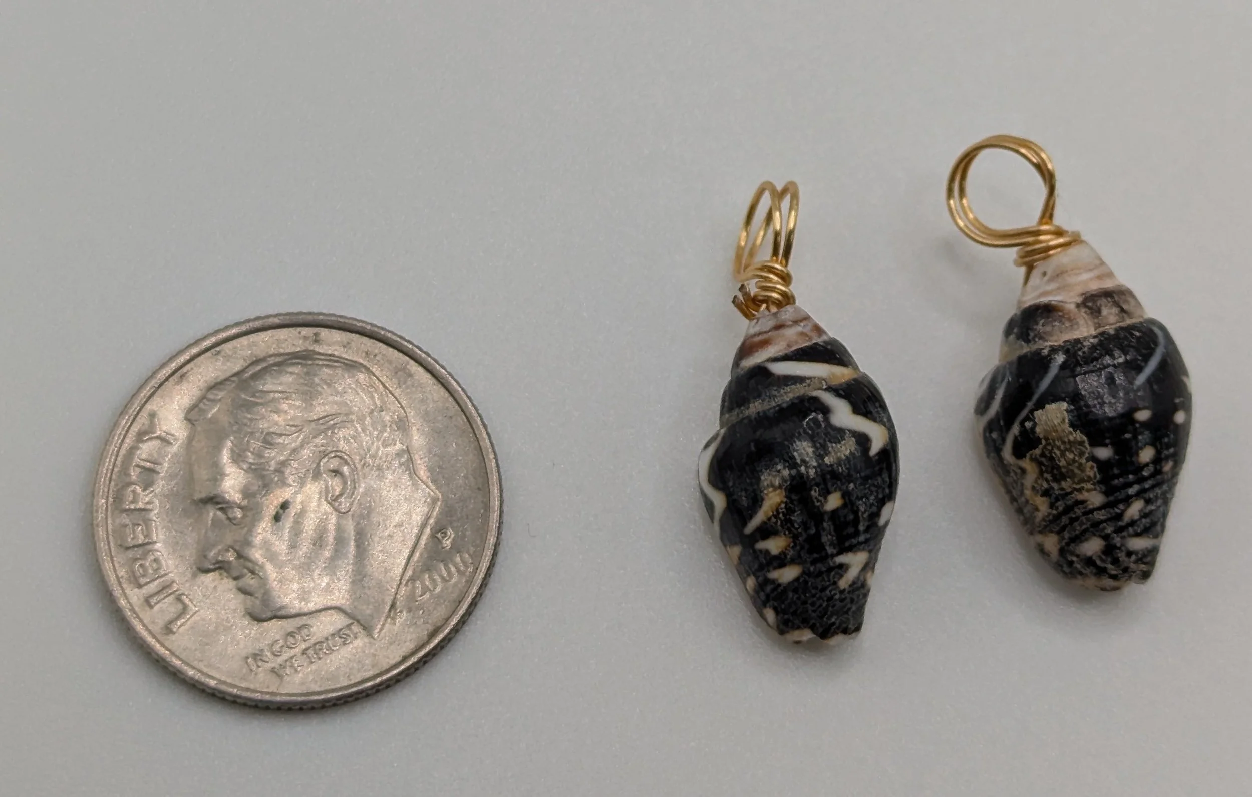 br and tan shell size.jpg