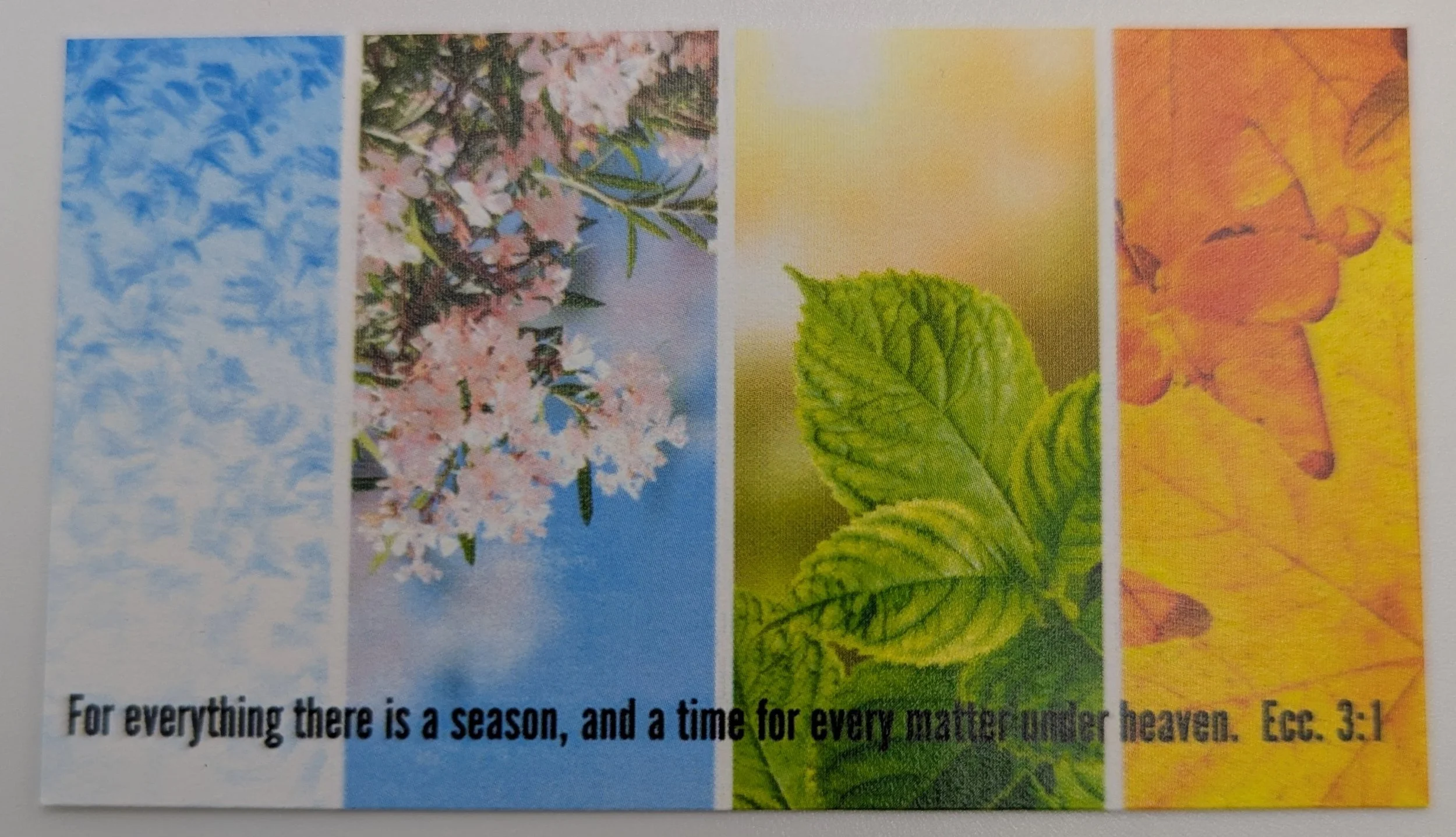 verse card.jpg