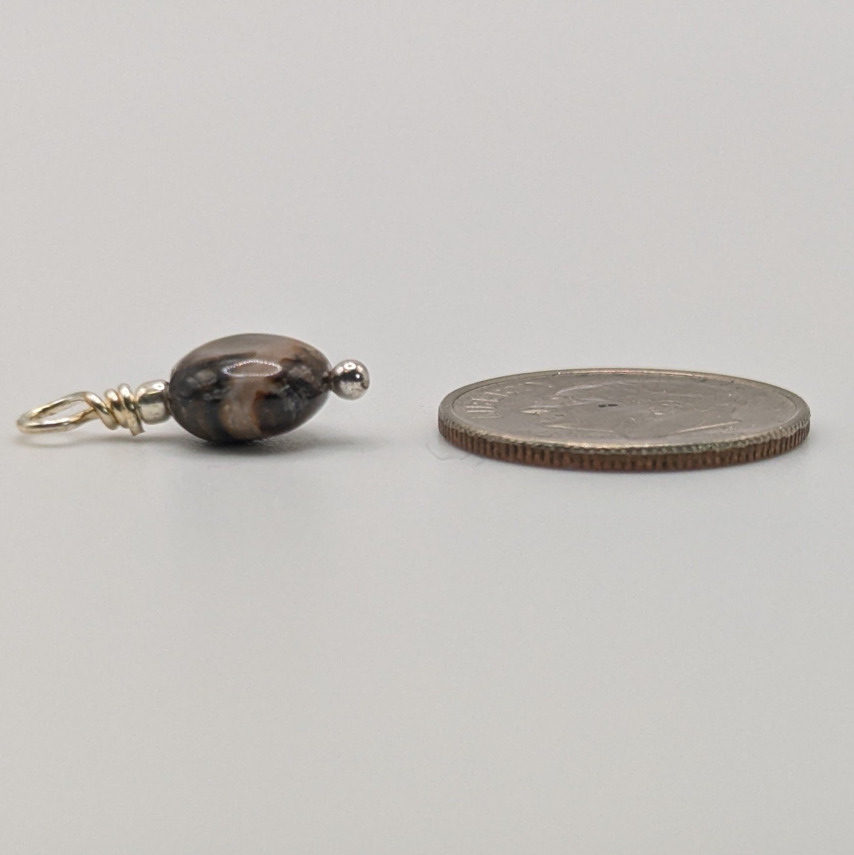 silver leaf jasper browns and black coin side.jpg