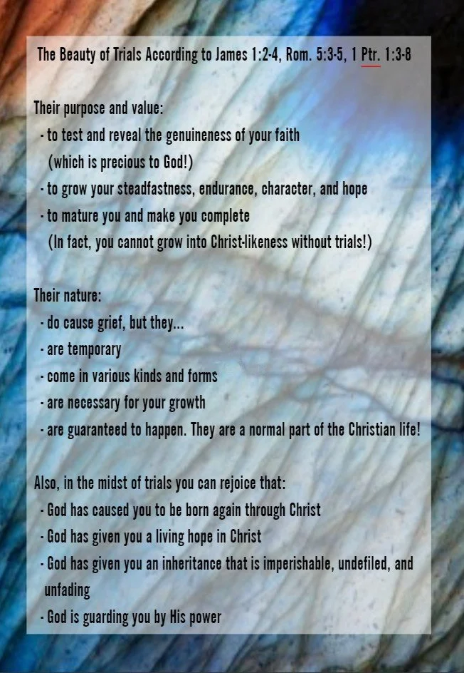 joy in trials application info- fixed.jpg