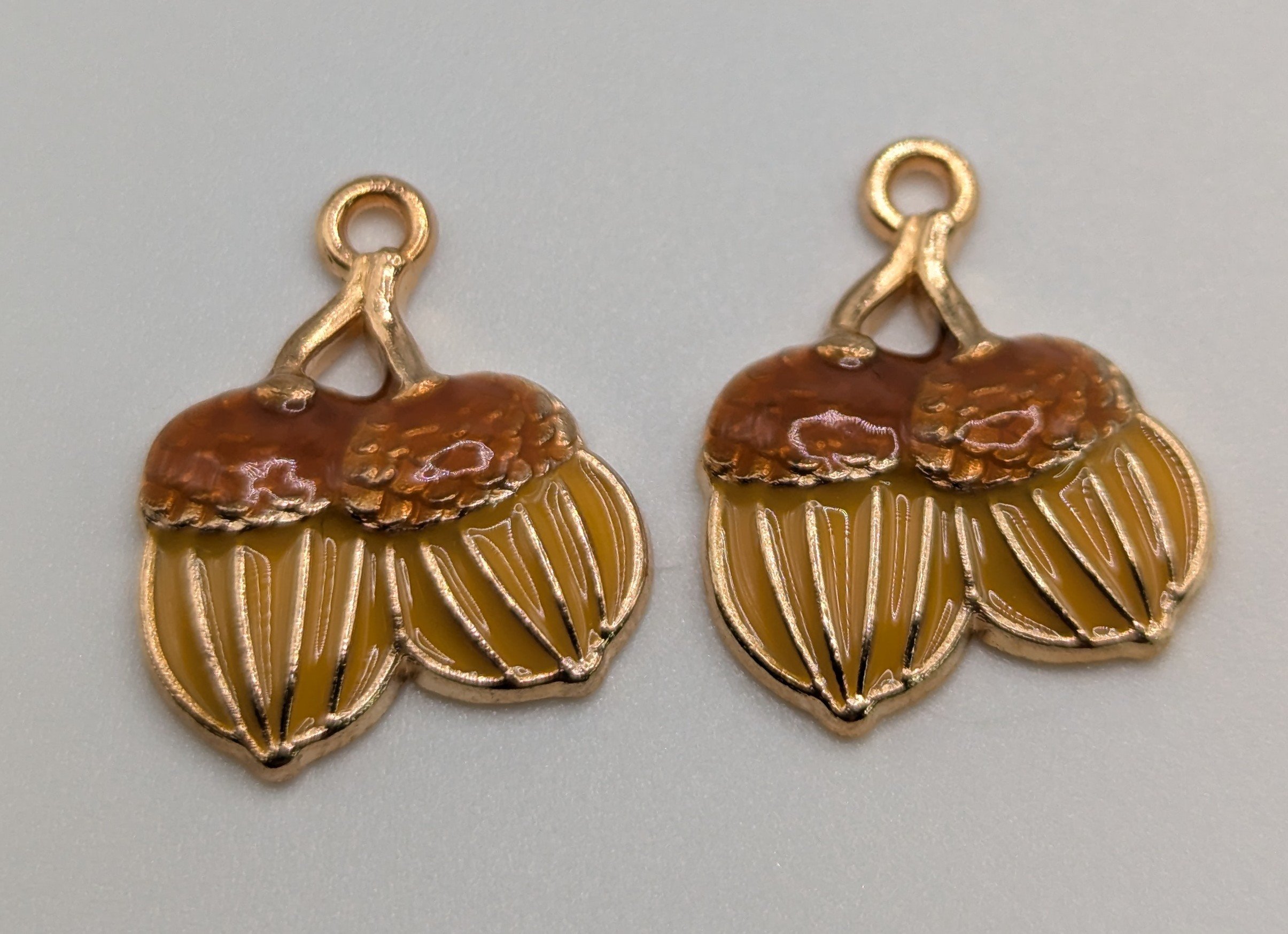 IC Set 2- acorns 2.jpg