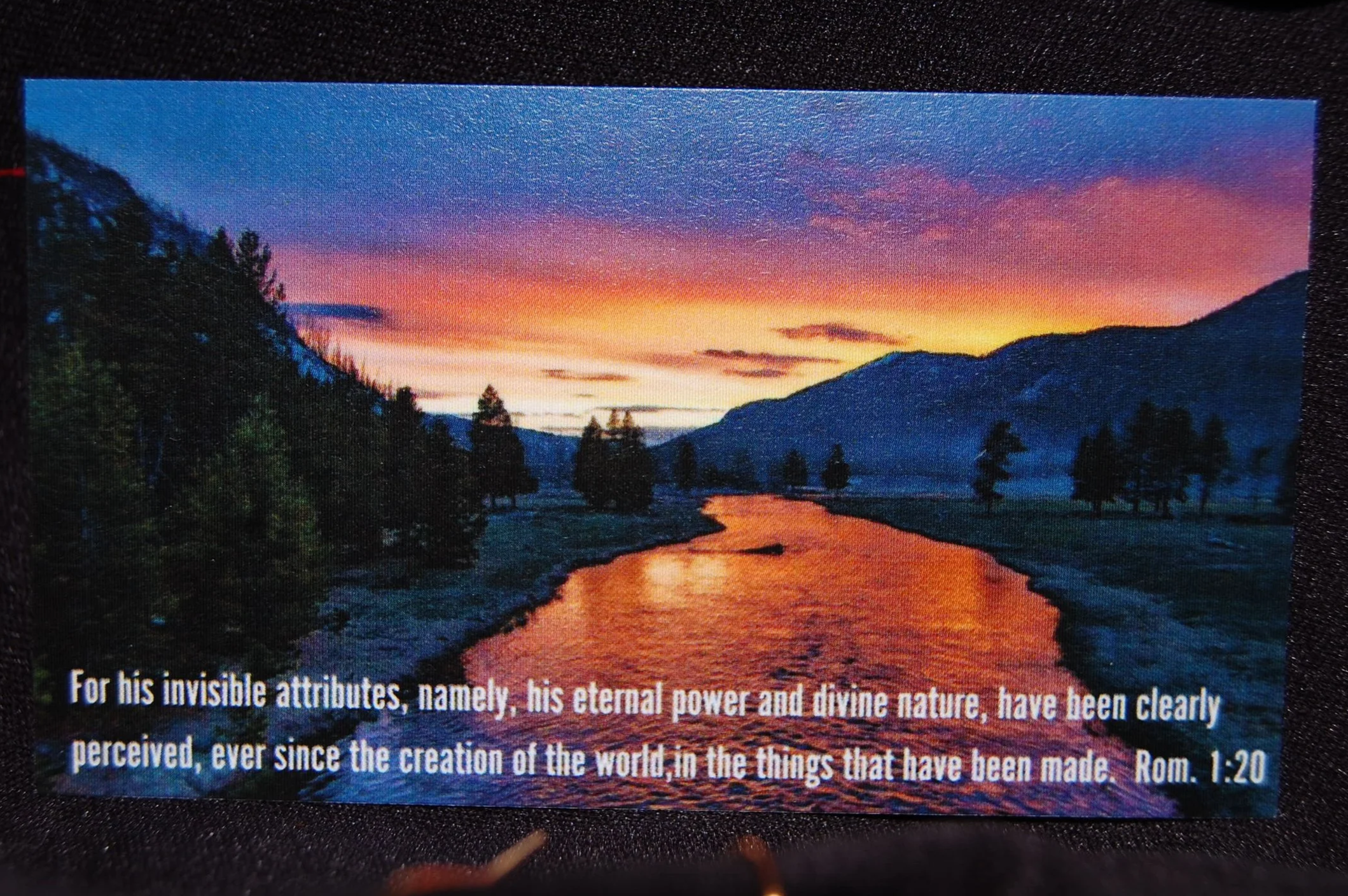 DSC_0356+%282%29.png
