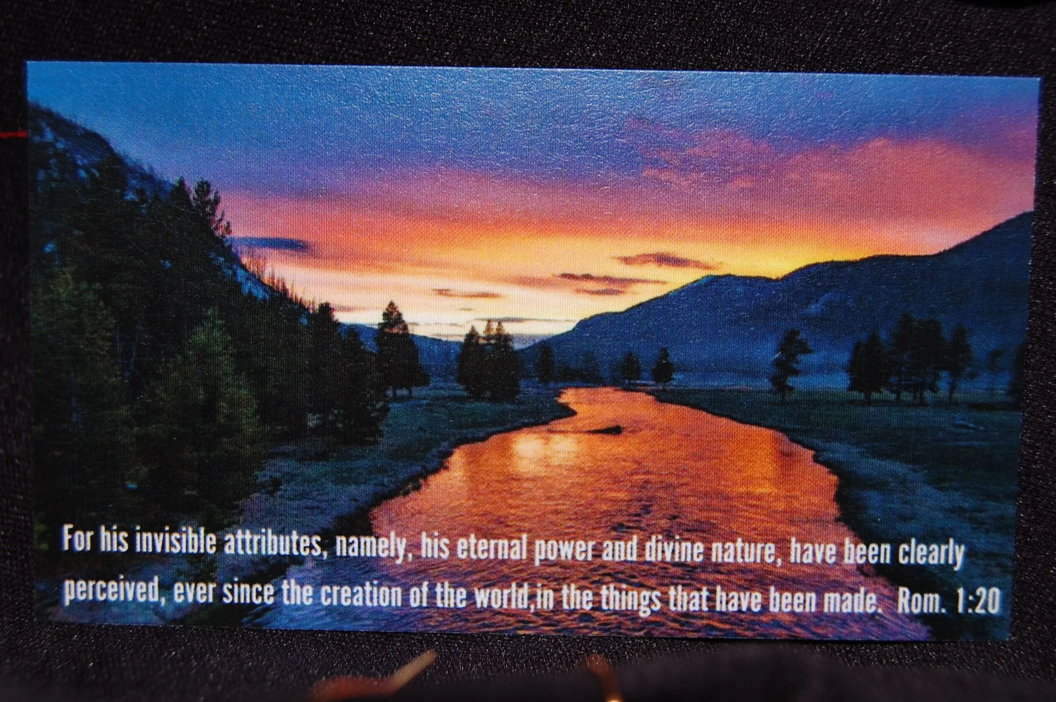 DSC_0356+%282%29.png