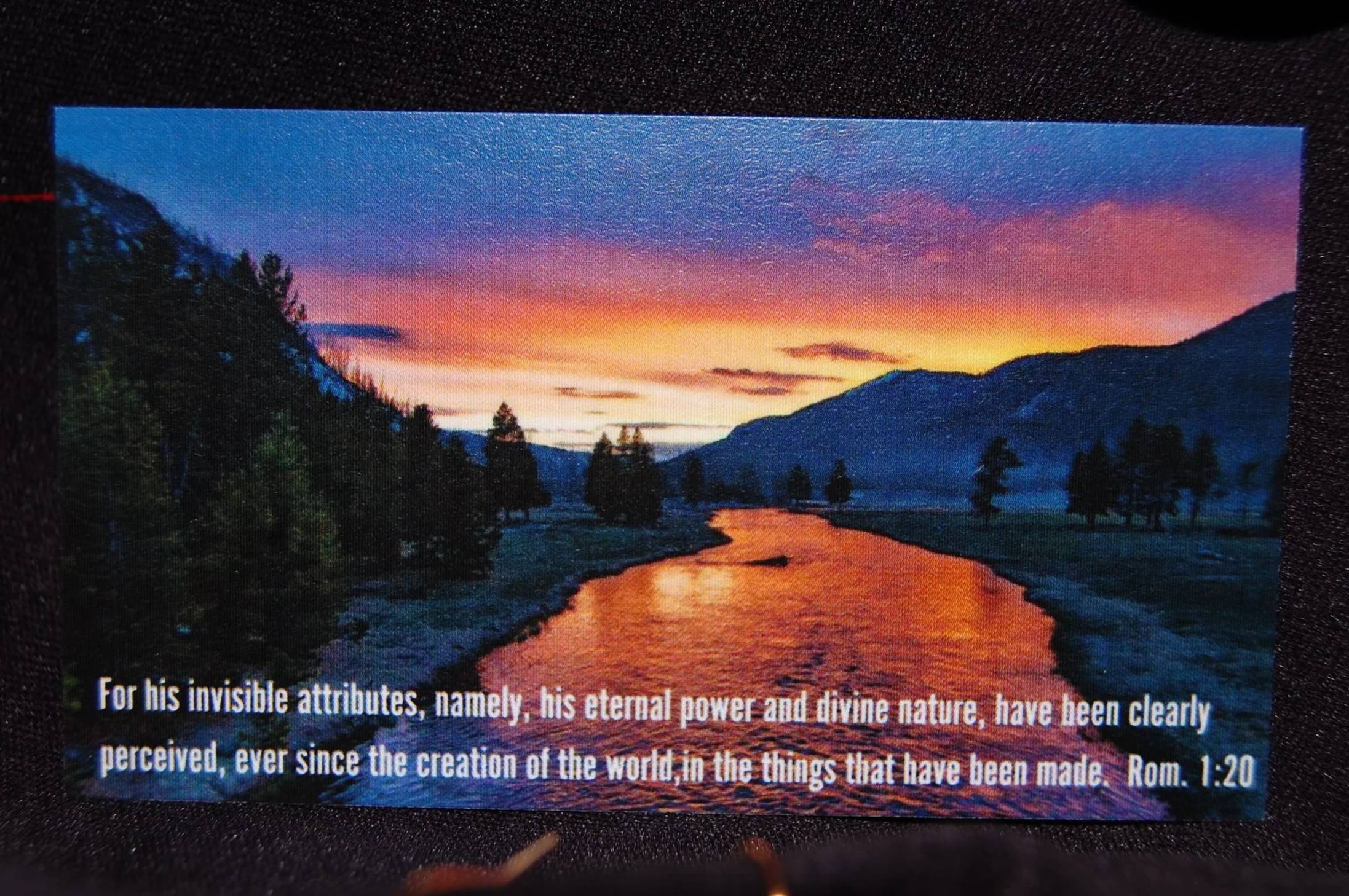 DSC_0356+%282%29.png
