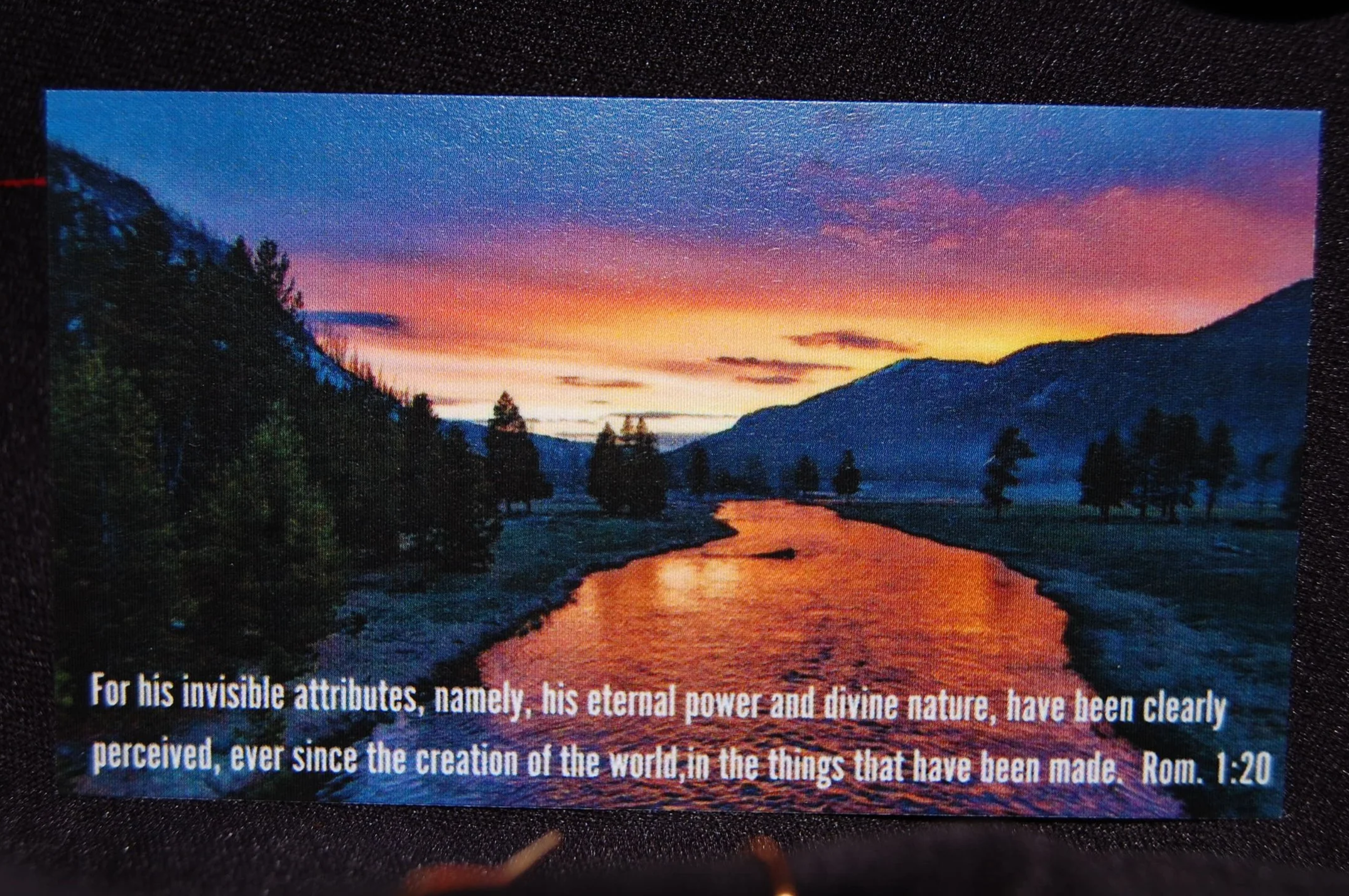 DSC_0356+%282%29.png