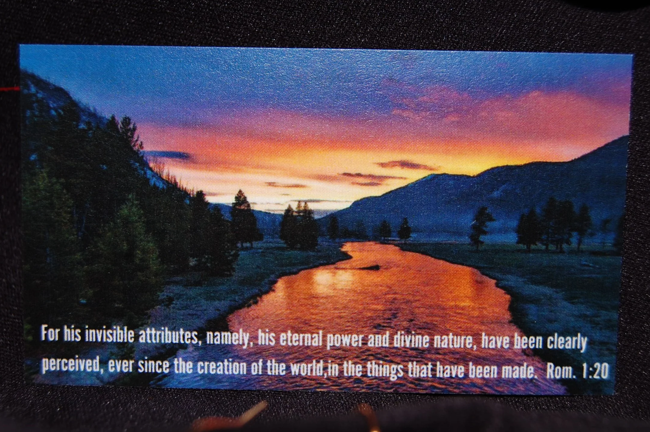 DSC_0356+%282%29.png