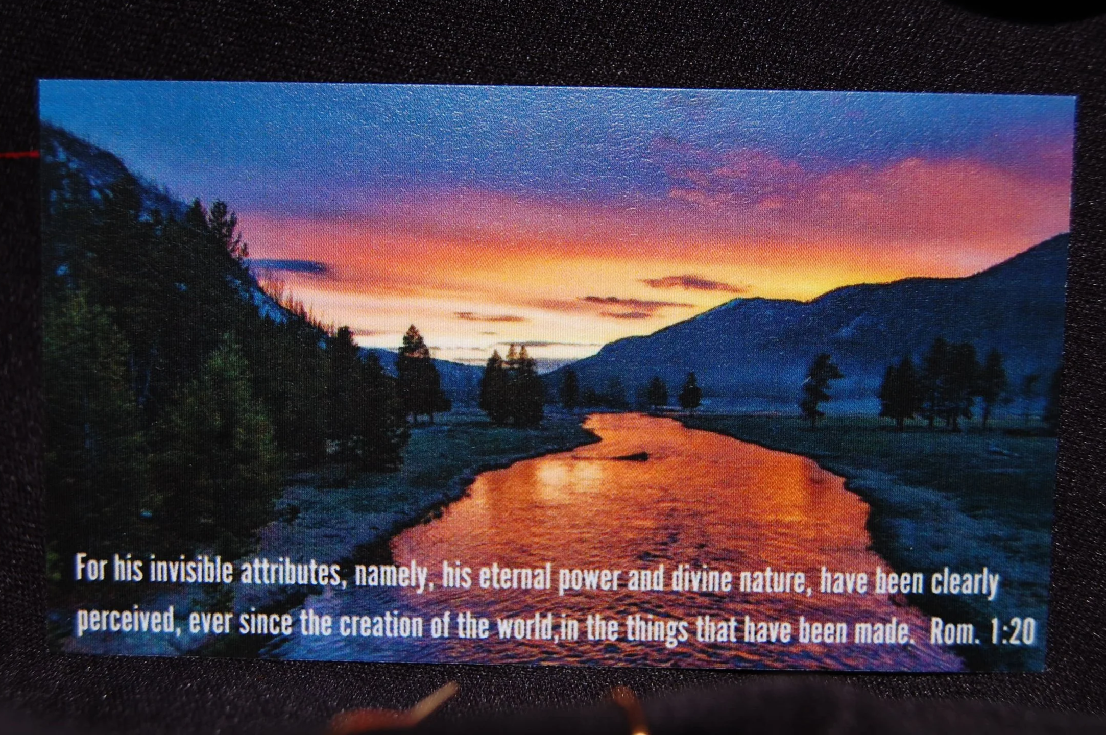 DSC_0356+%282%29.png