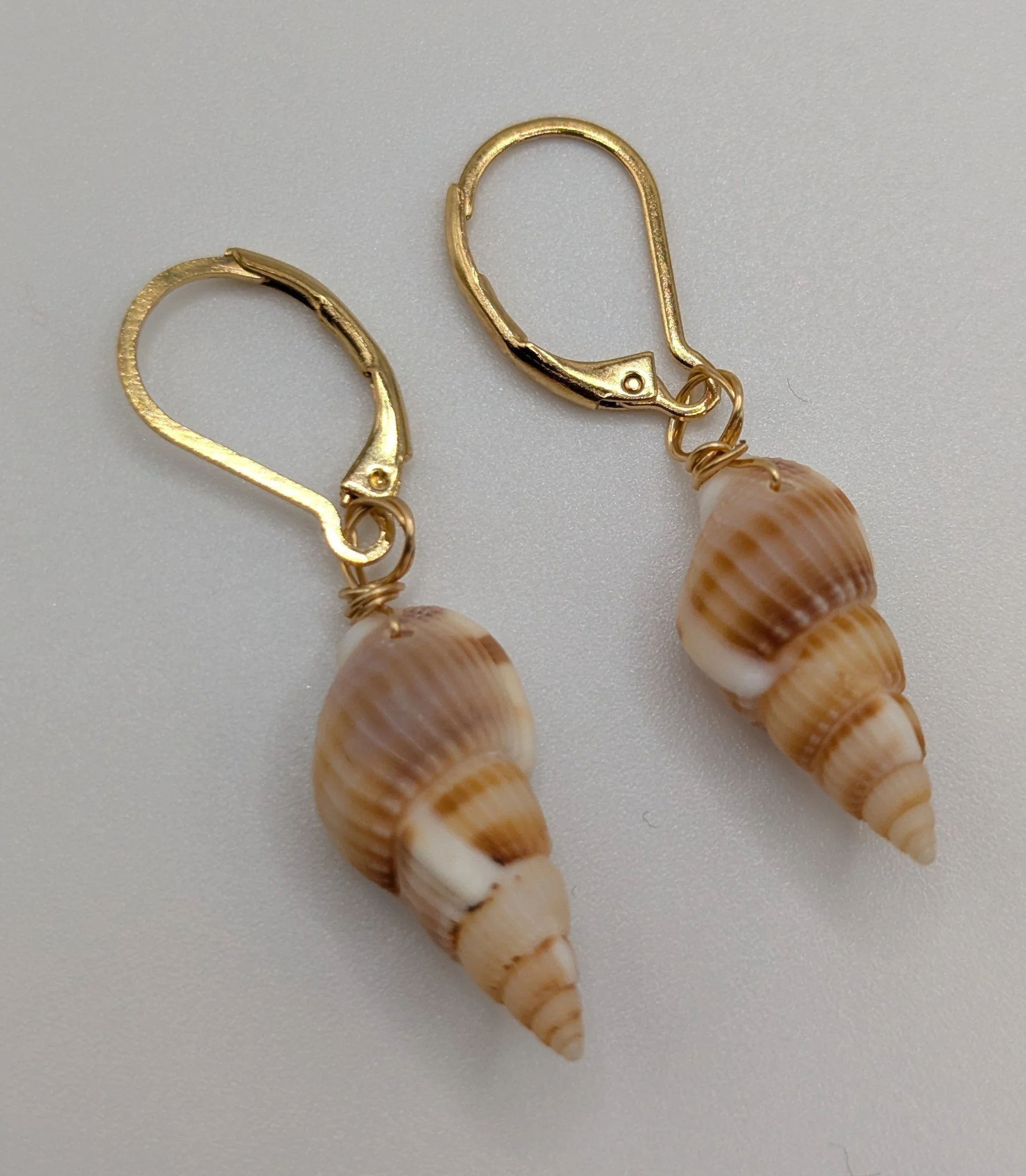 IC Set 3- shells 2.jpg
