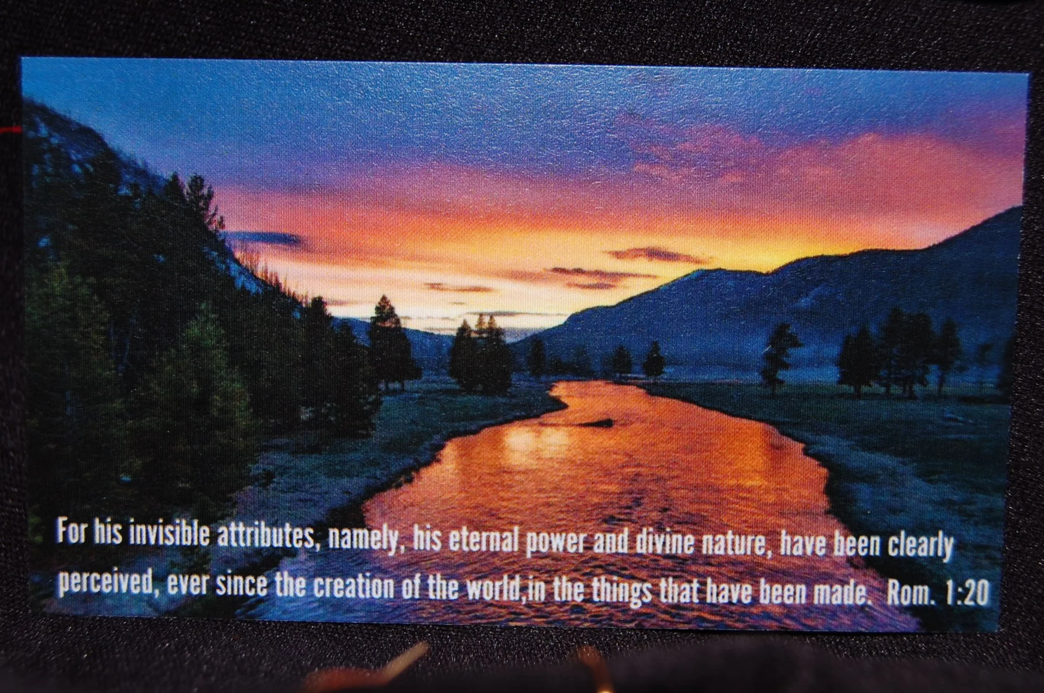 DSC_0356+%282%29.png