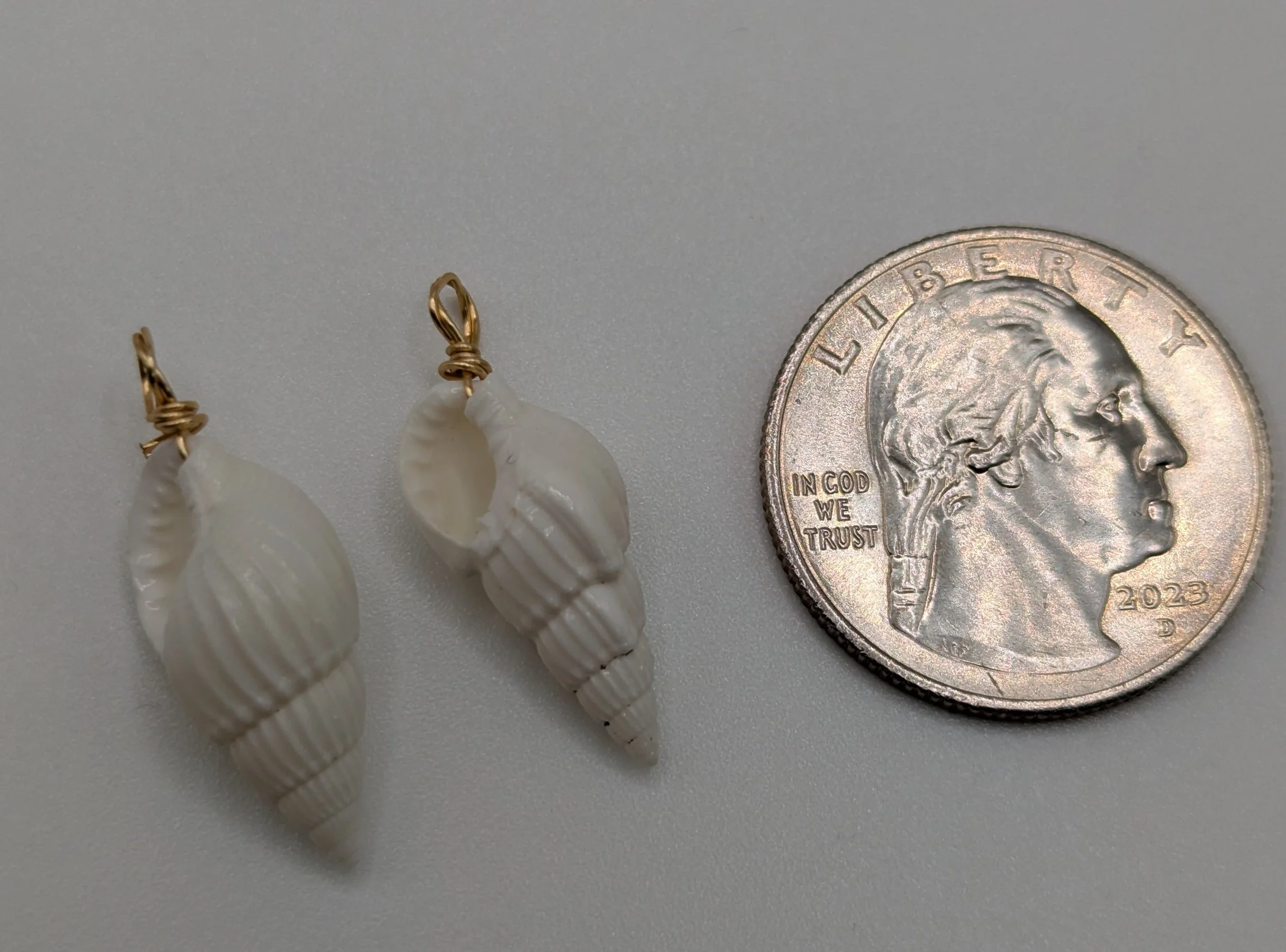 white shell size.jpg