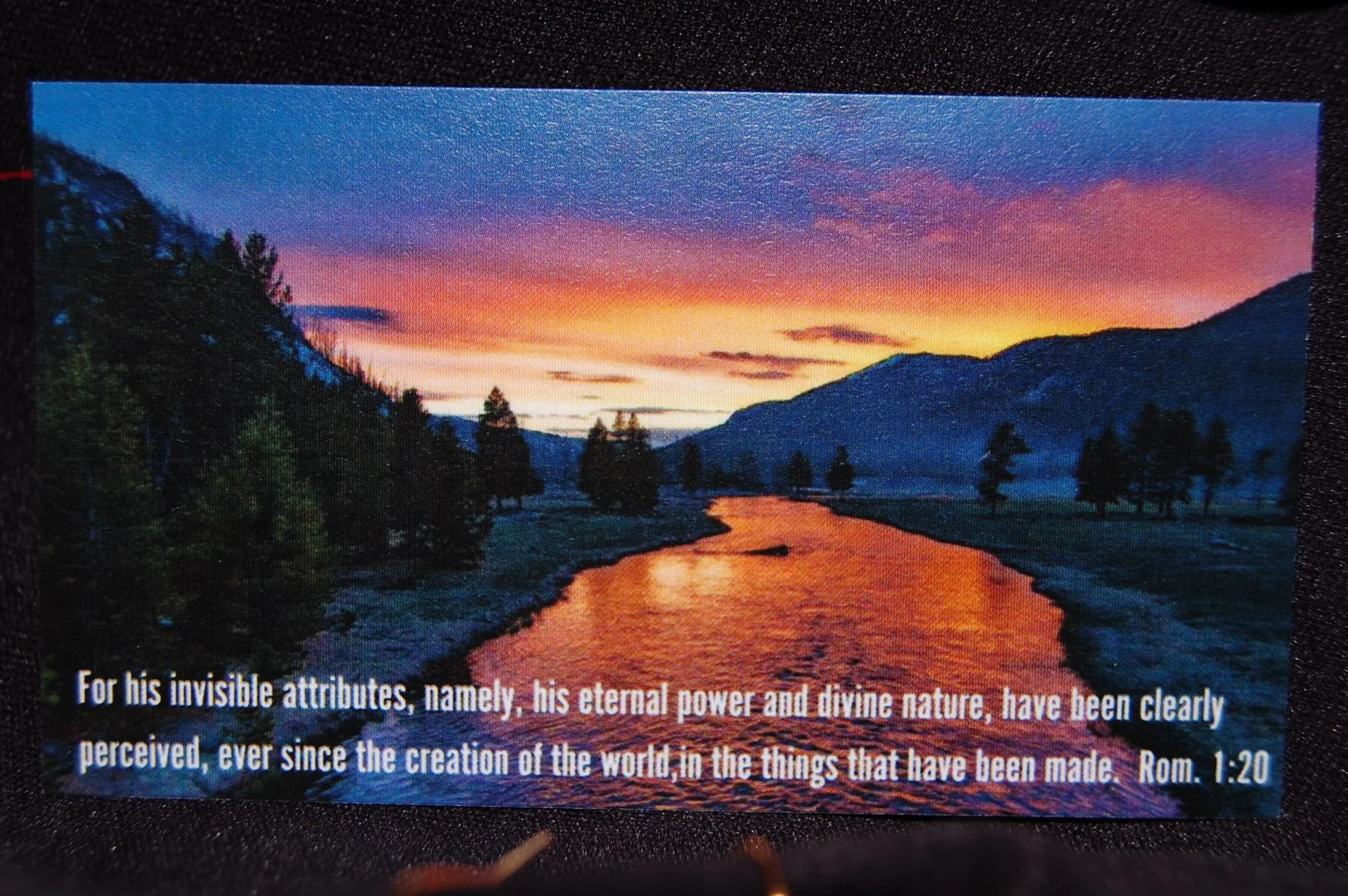 DSC_0356+%282%29.png