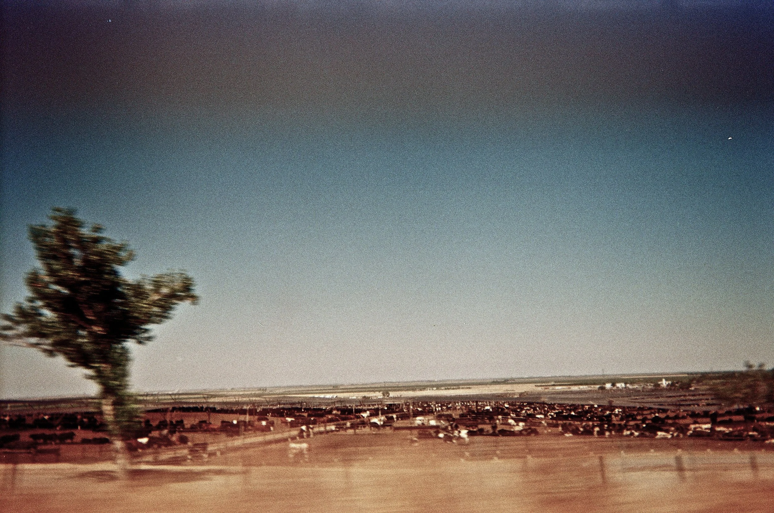 47580023.JPG